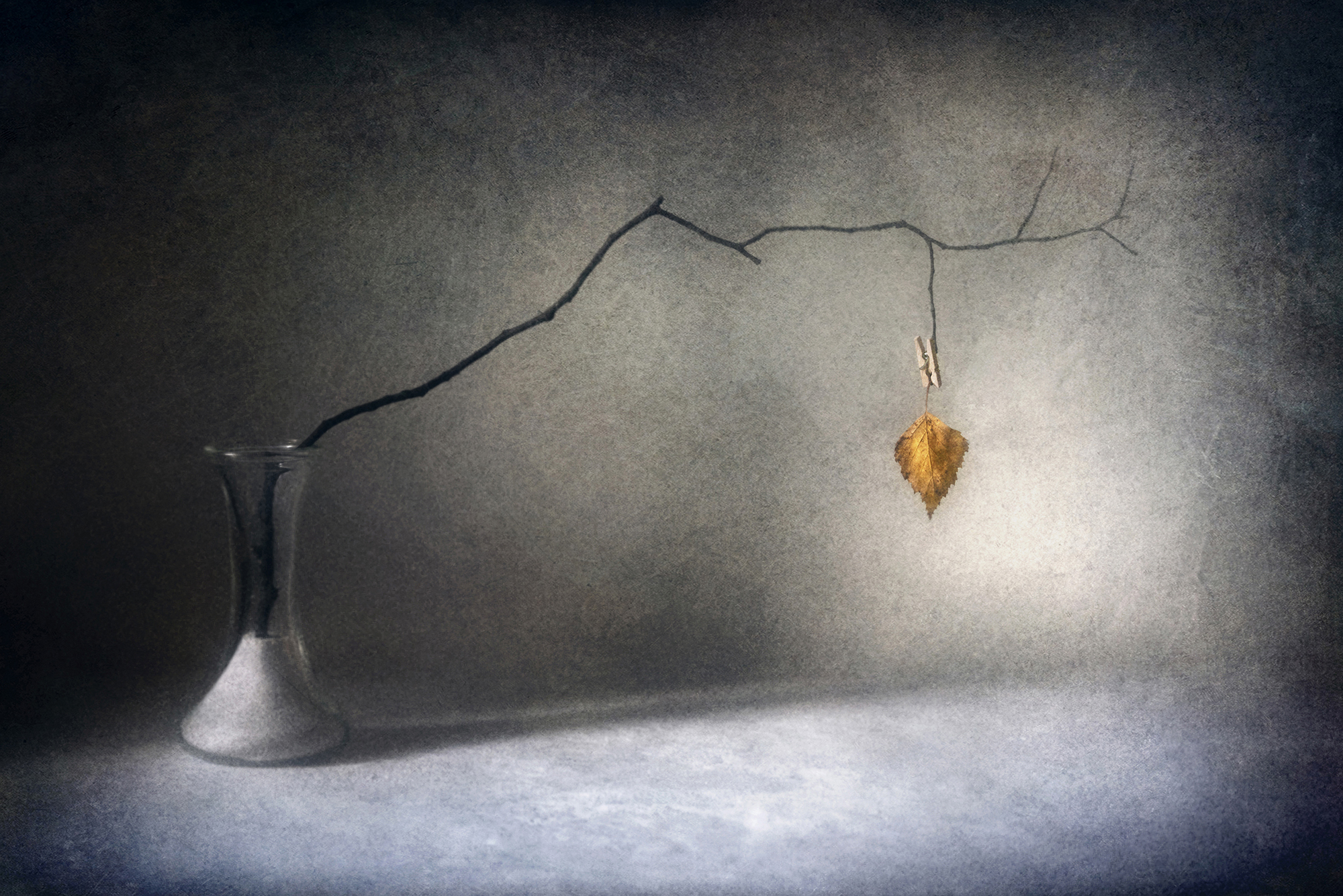 натюрморт, Сергей Кот