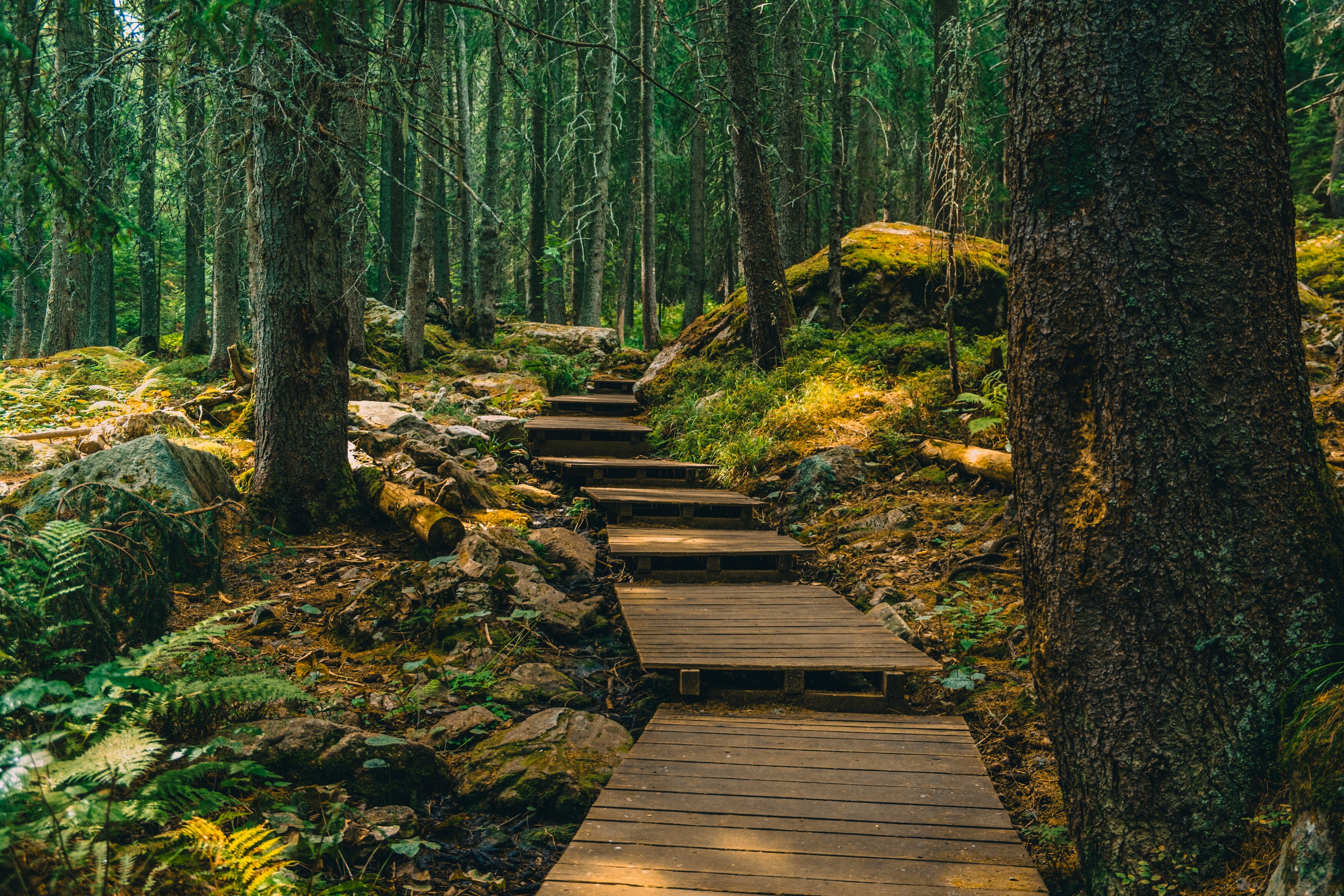 , Николов Андриян