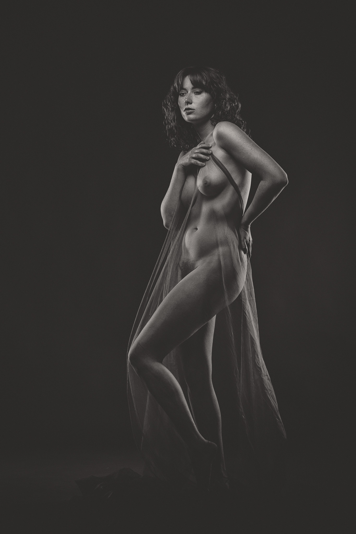 monochrome, black, white, artistic, nude, fine, art, dramatic, lighting, shadows, curves, elegant, sensual, studio, classic, timeless, form, silhouette, contrast, chiaroscuro, artistic-nude, model, Regina, Erik Rozman