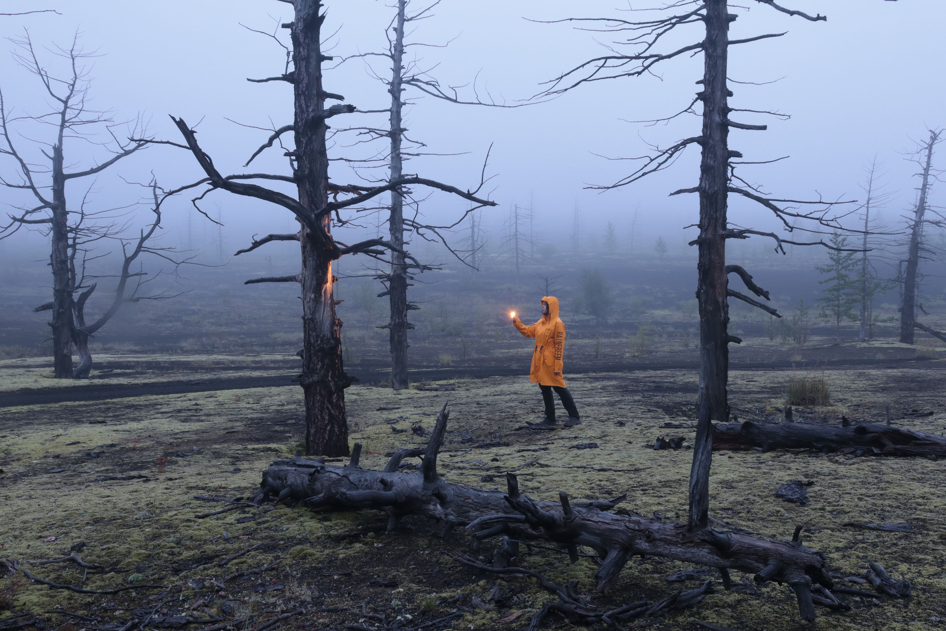 Камчатка, Добролюбова Тамара