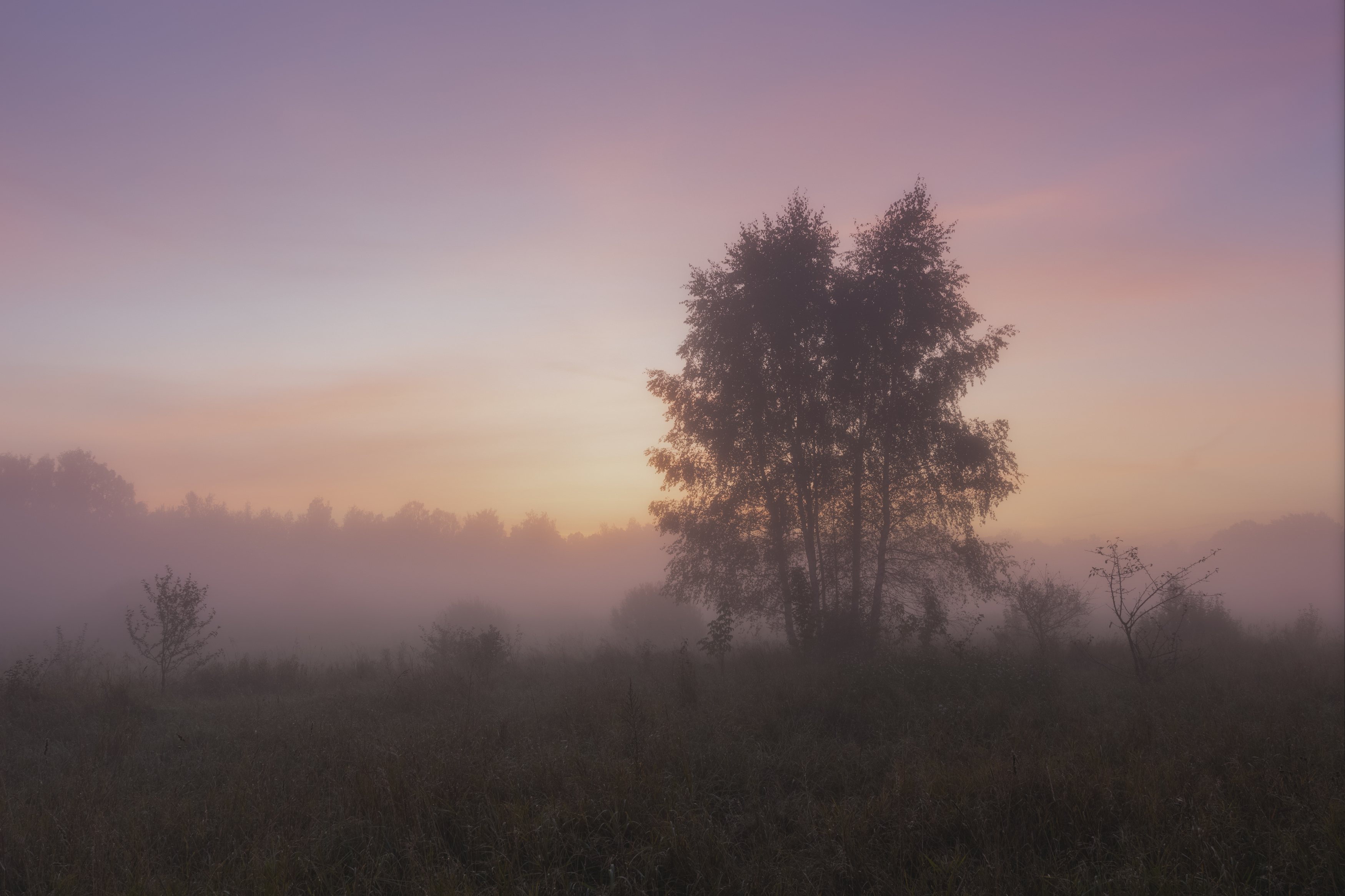 , Бонина Ольга