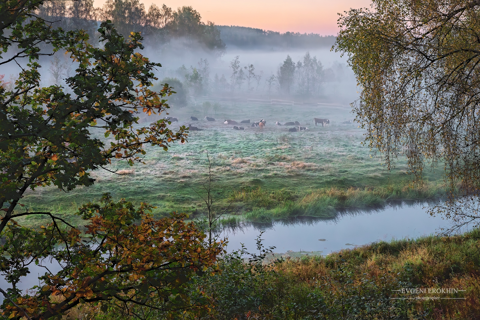 , Евгений Ерохин