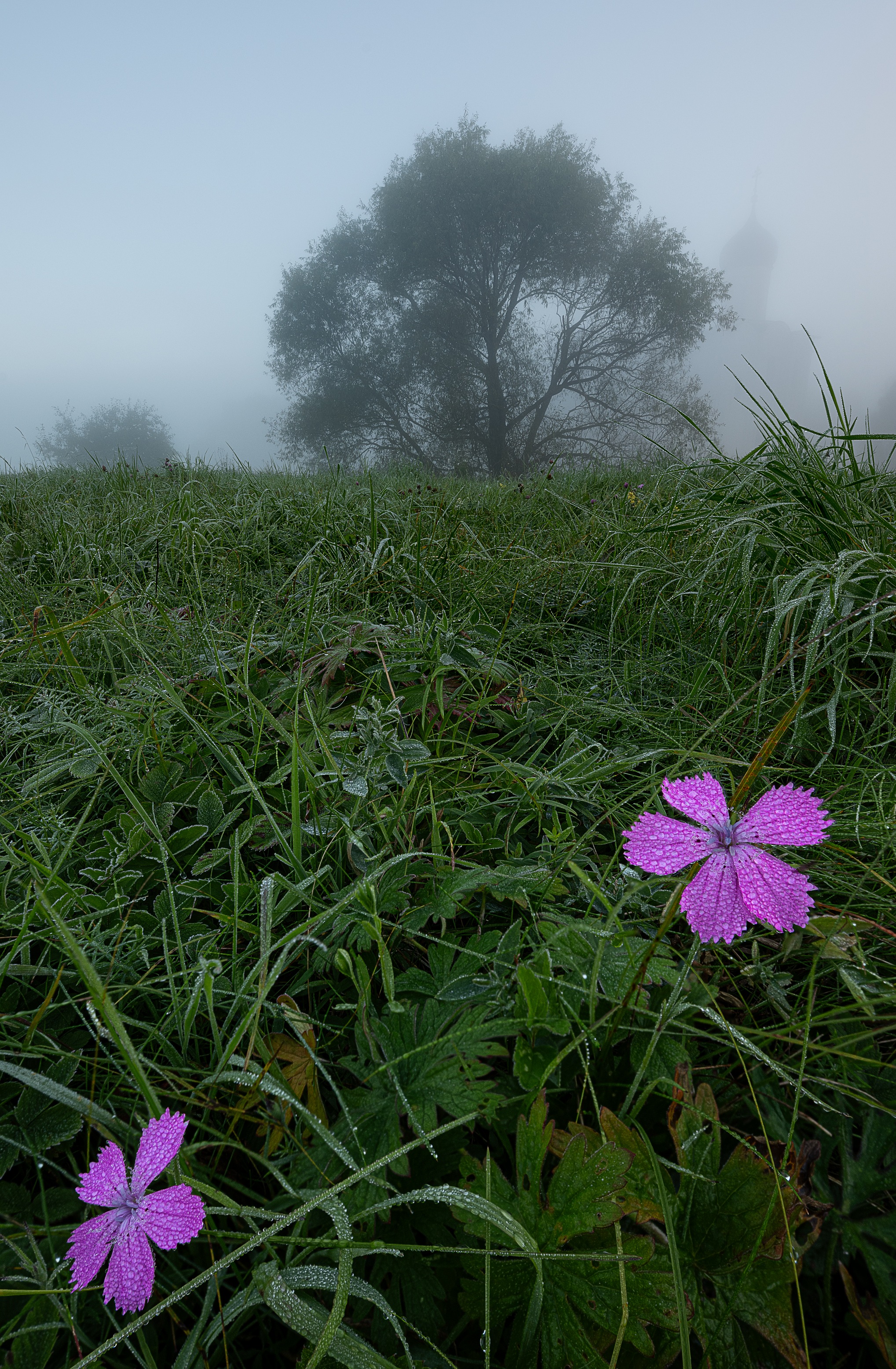 , Ширгин Сергей