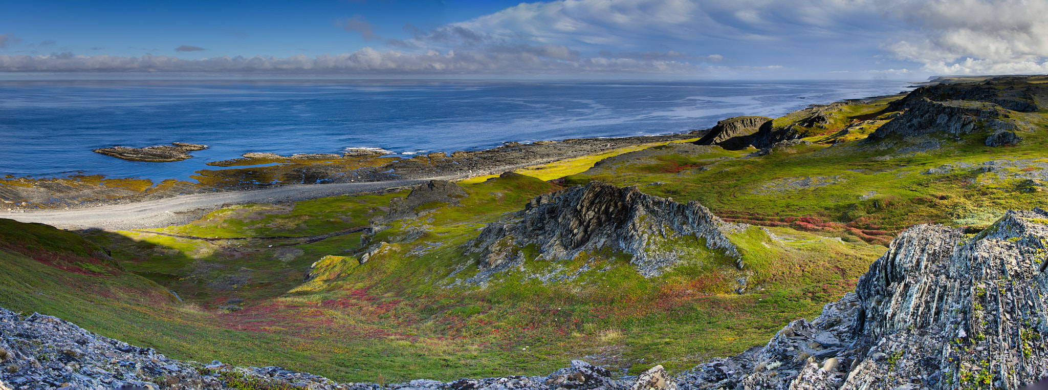 , Игорь Щербаков