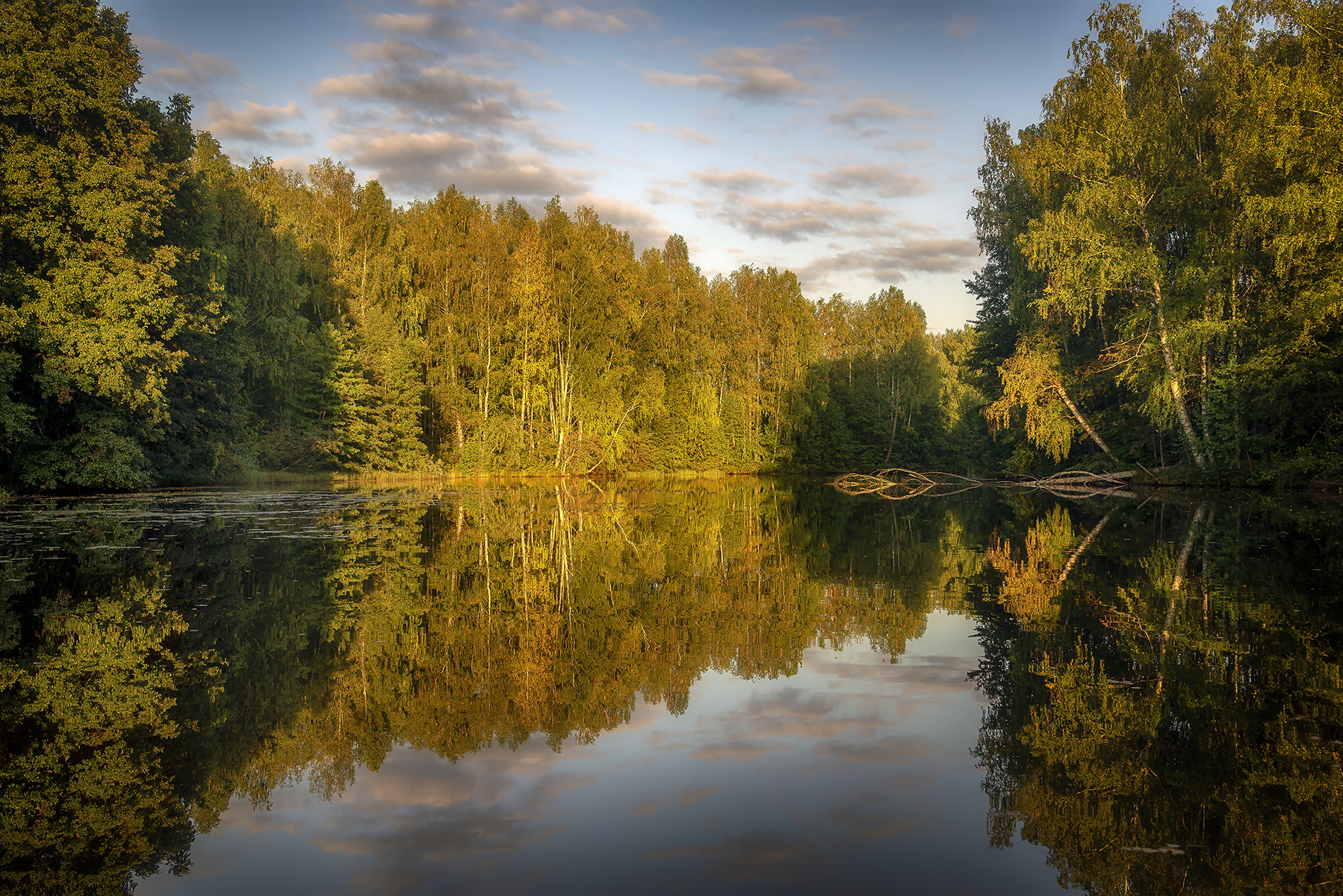 , Сергей Аникин