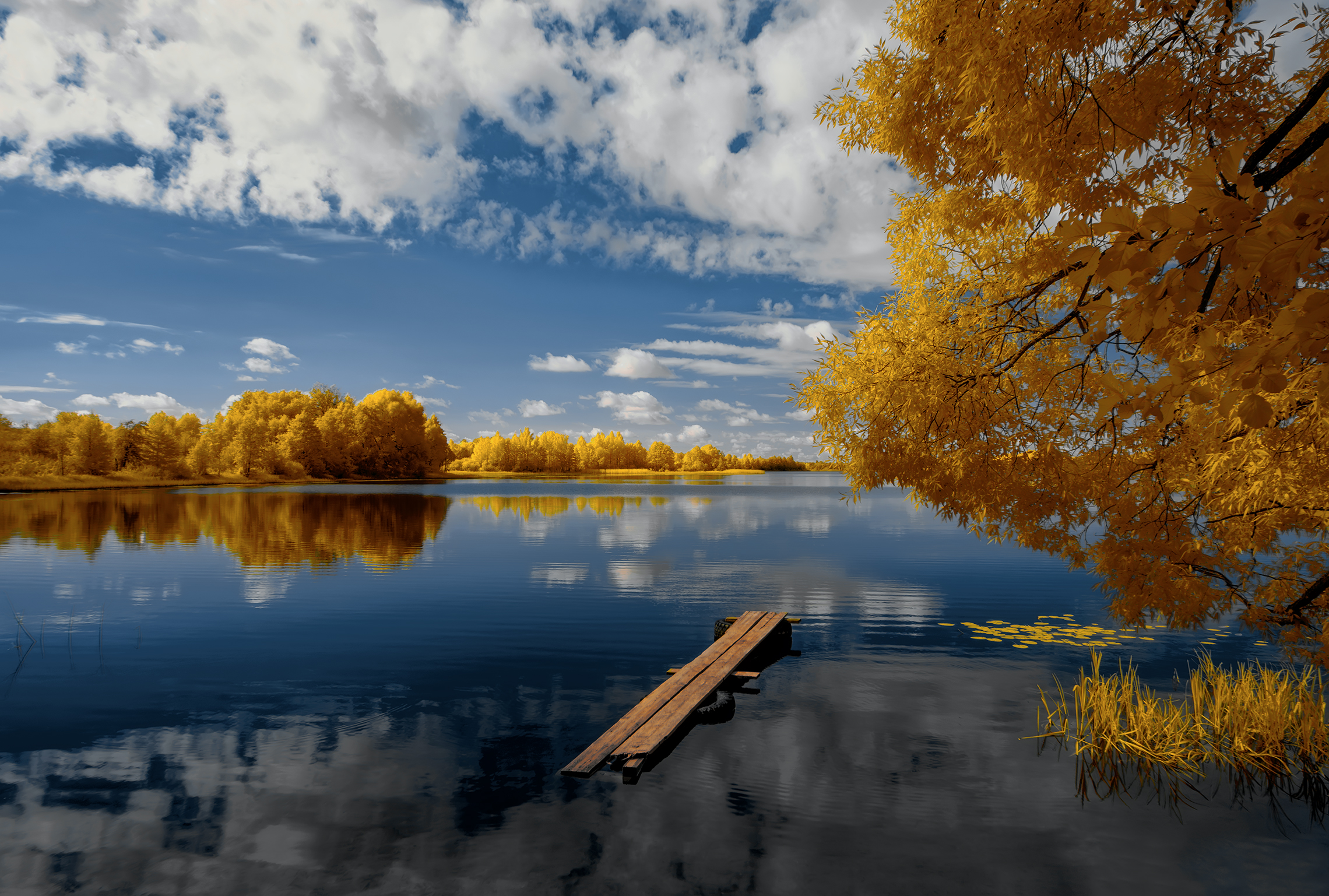 infrared, ик-фото, инфракрасное фото, инфракрасная фотография, пейзаж, лето,  Sixten (Сергей)