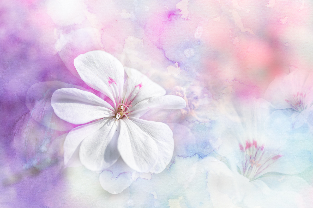 close-up, Копцев Игорь