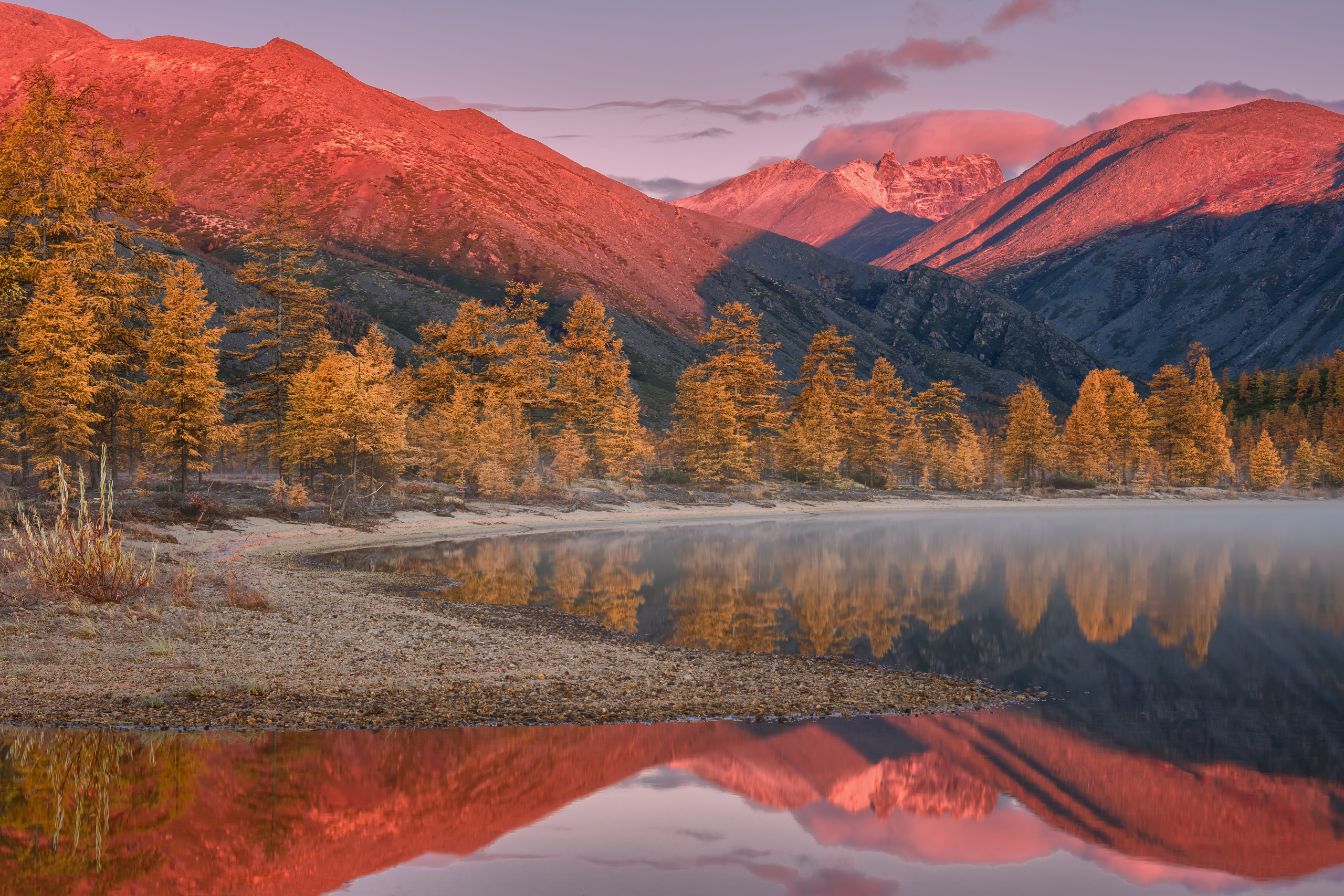 , Евдокимов Максим