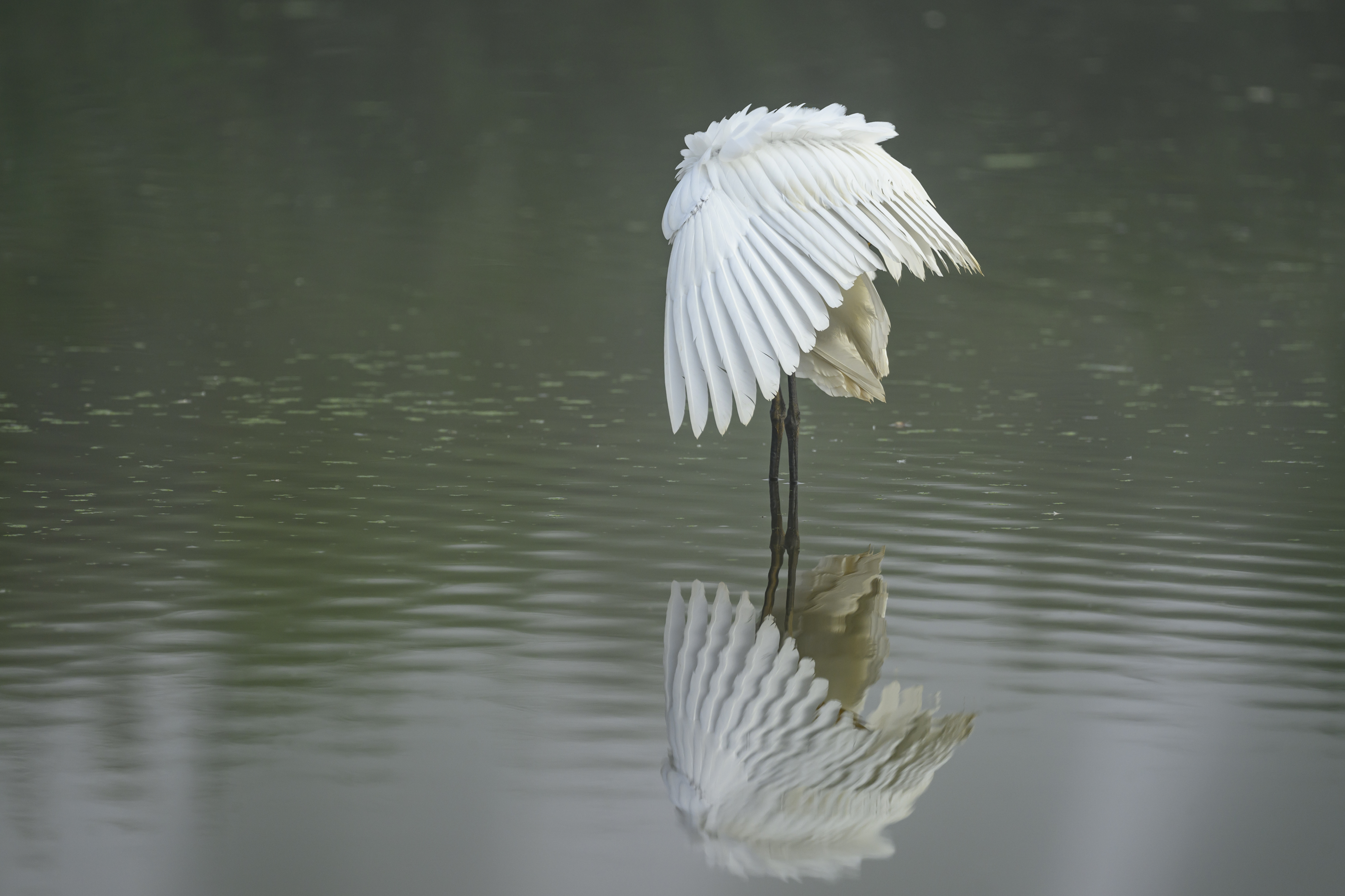, Пупонин Сергей