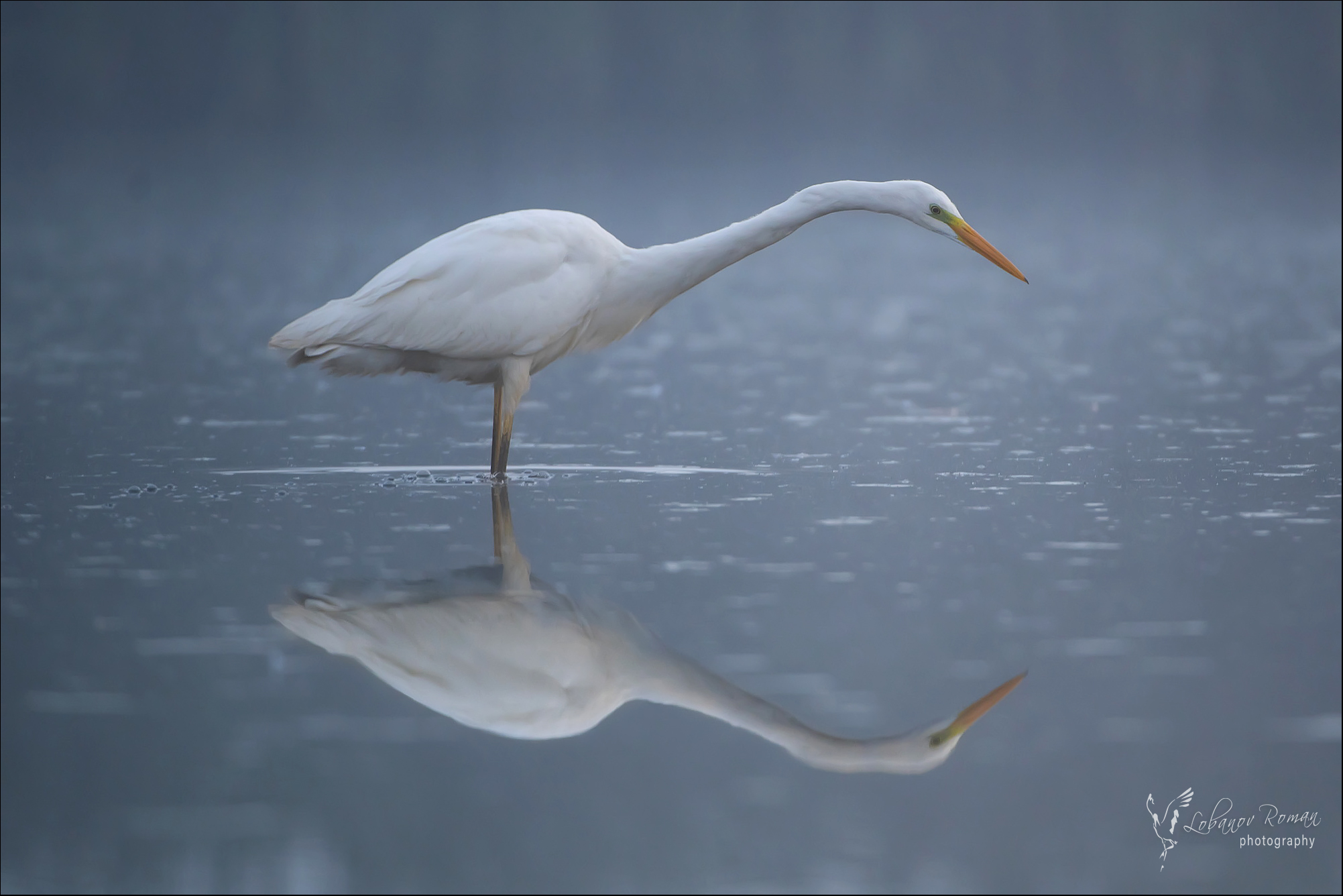 , Лобанов Роман