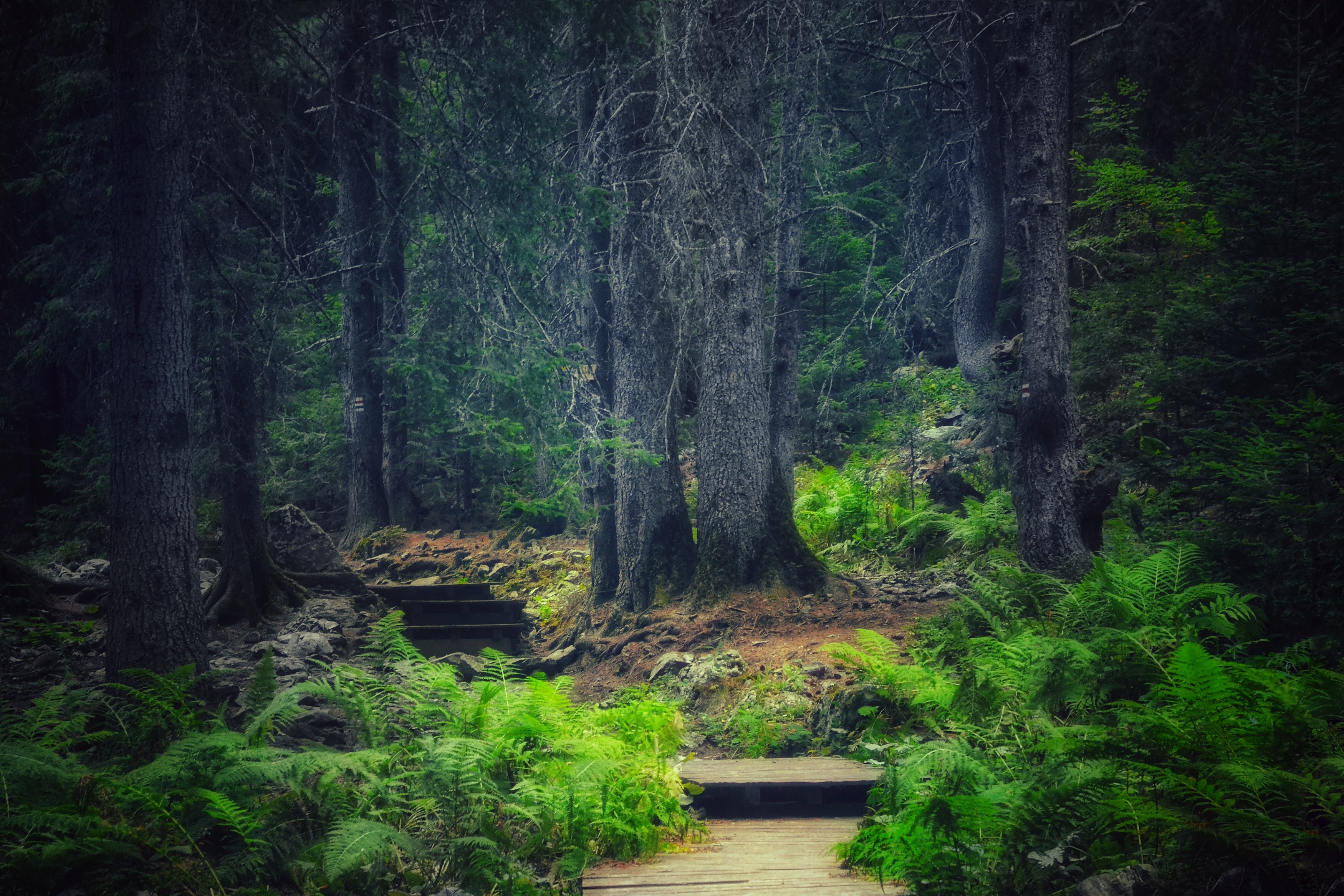 , Юлияна Стоянова