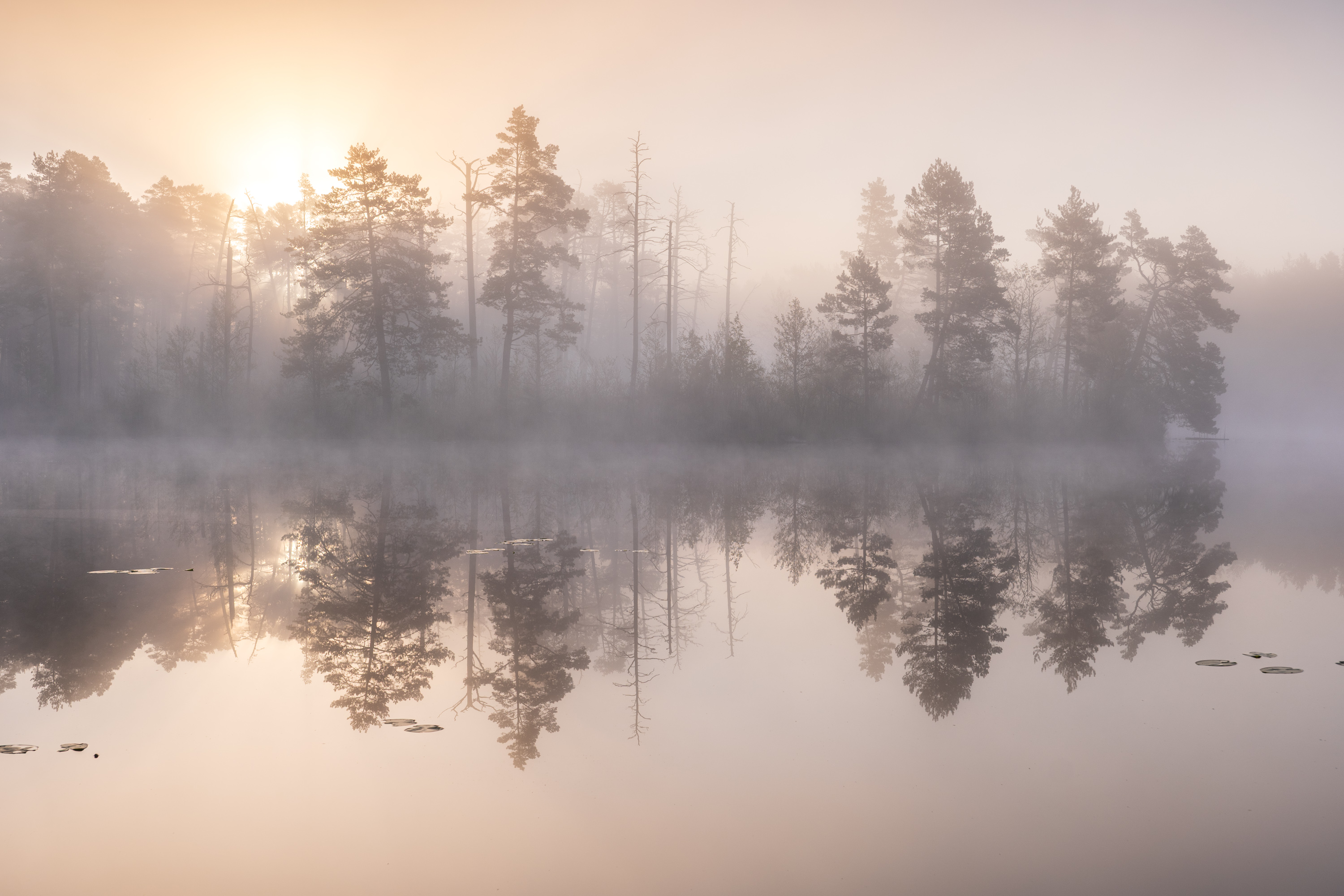 morning, fog, lake, spring, Гордон Николай