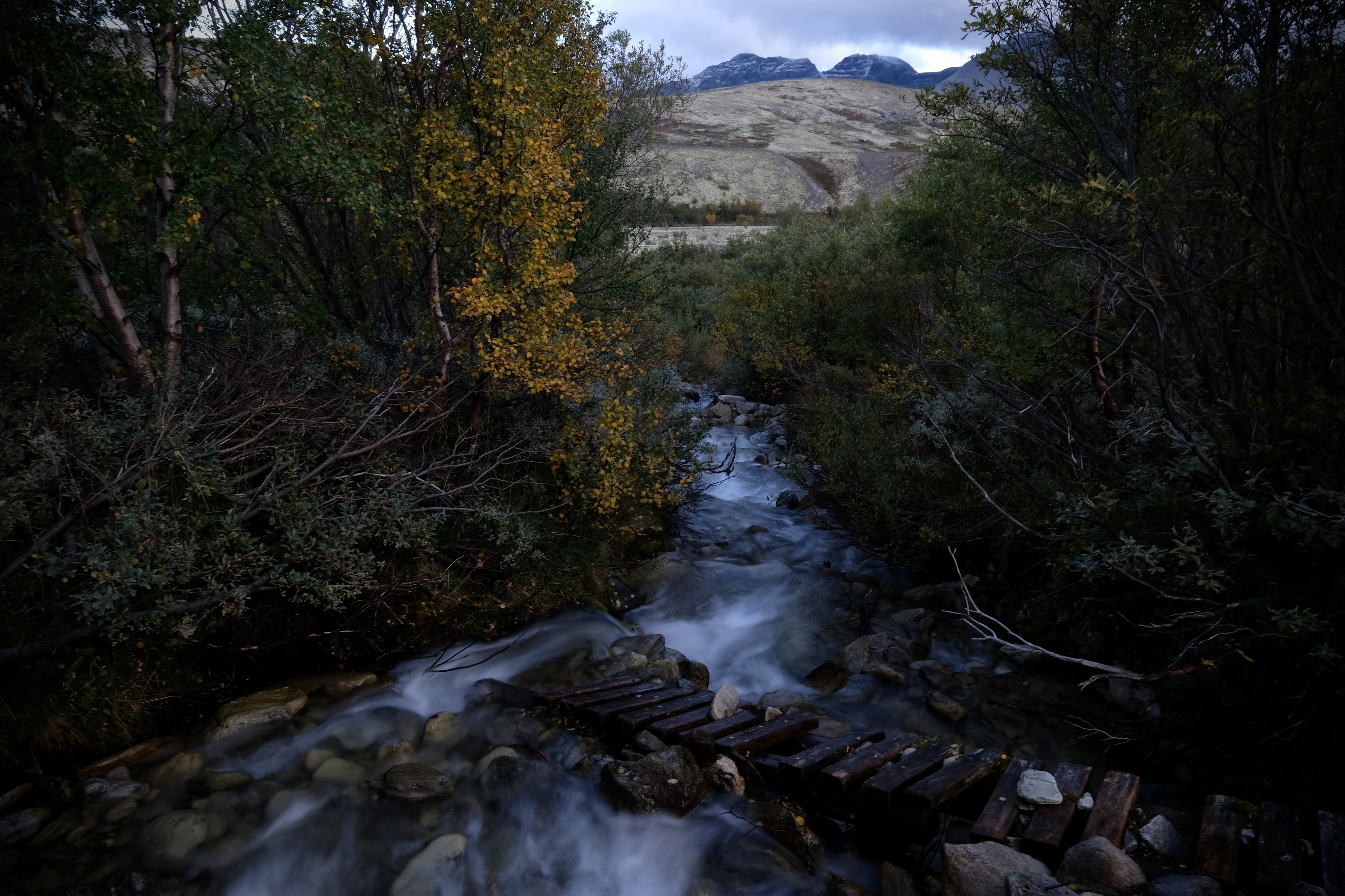Landscapes, Norway, Rondane National Park, Mountains, Autumn, Mood, Stream, , Povarova Ree Svetlana