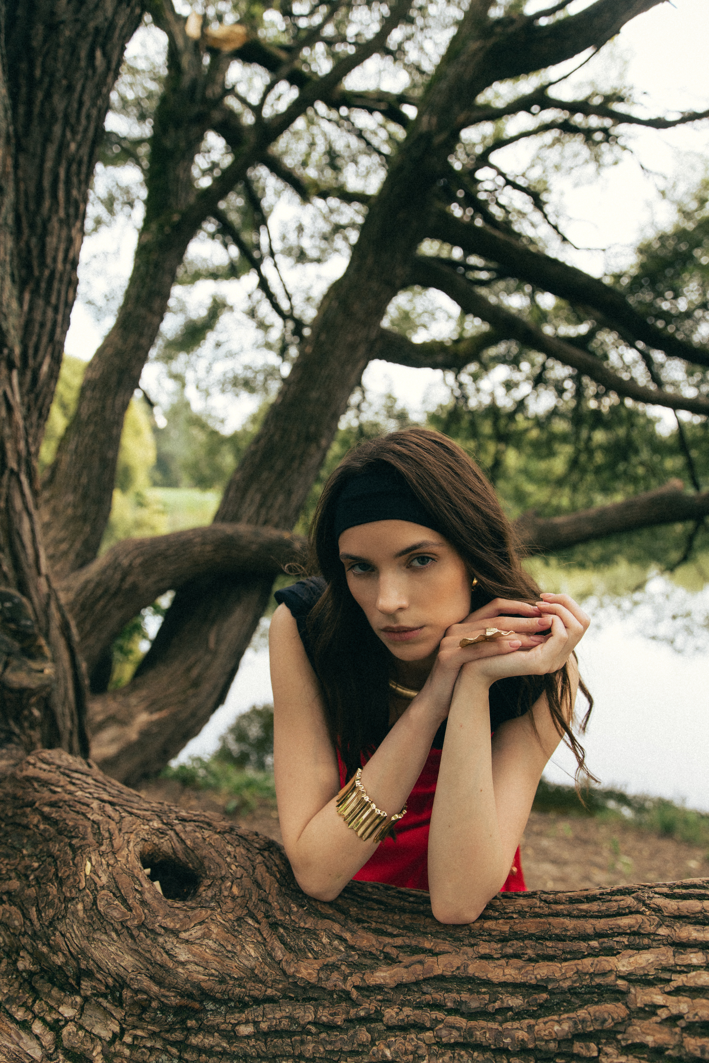 , Сергей Антонов