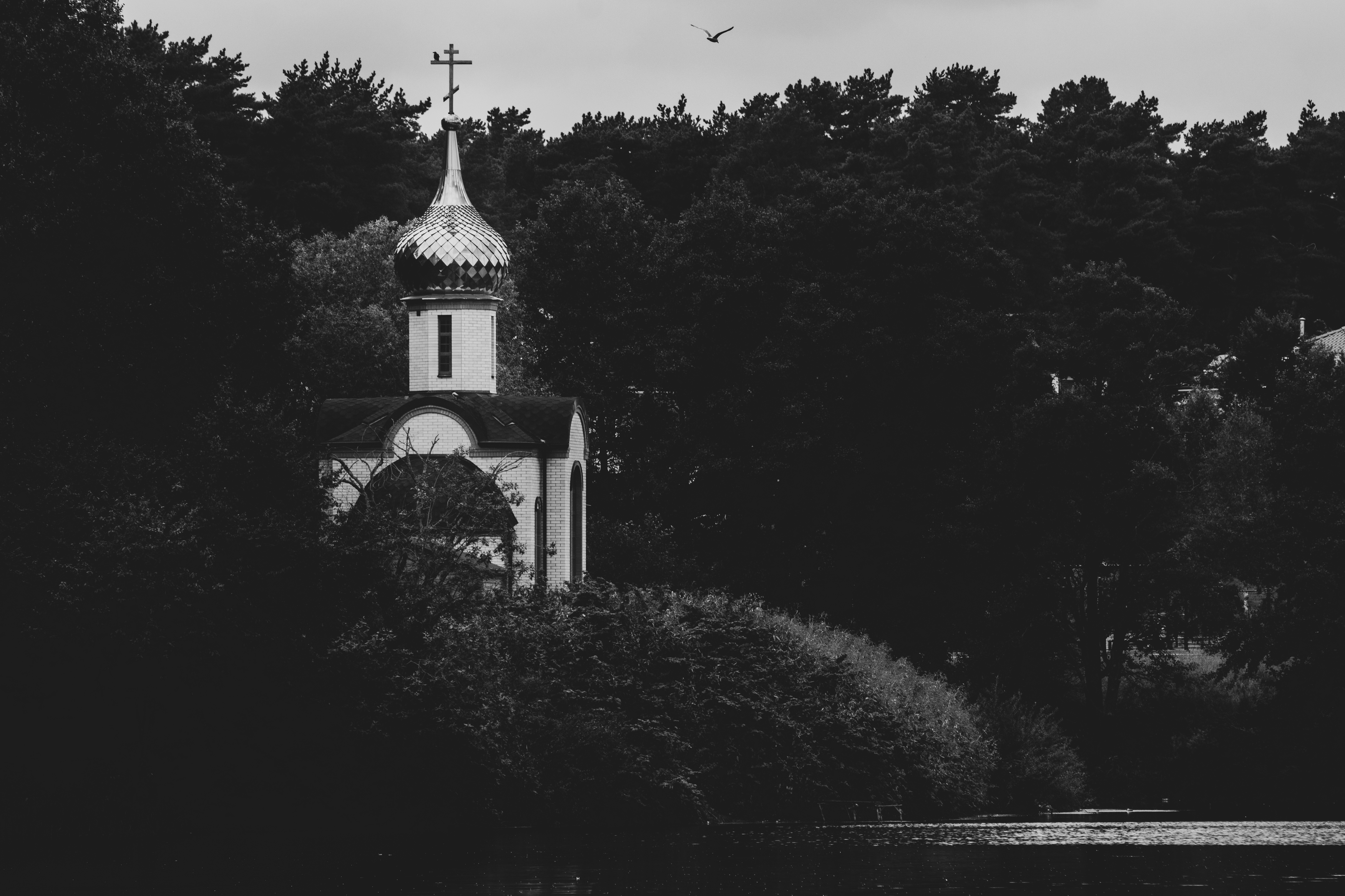 , Клюков Виталий