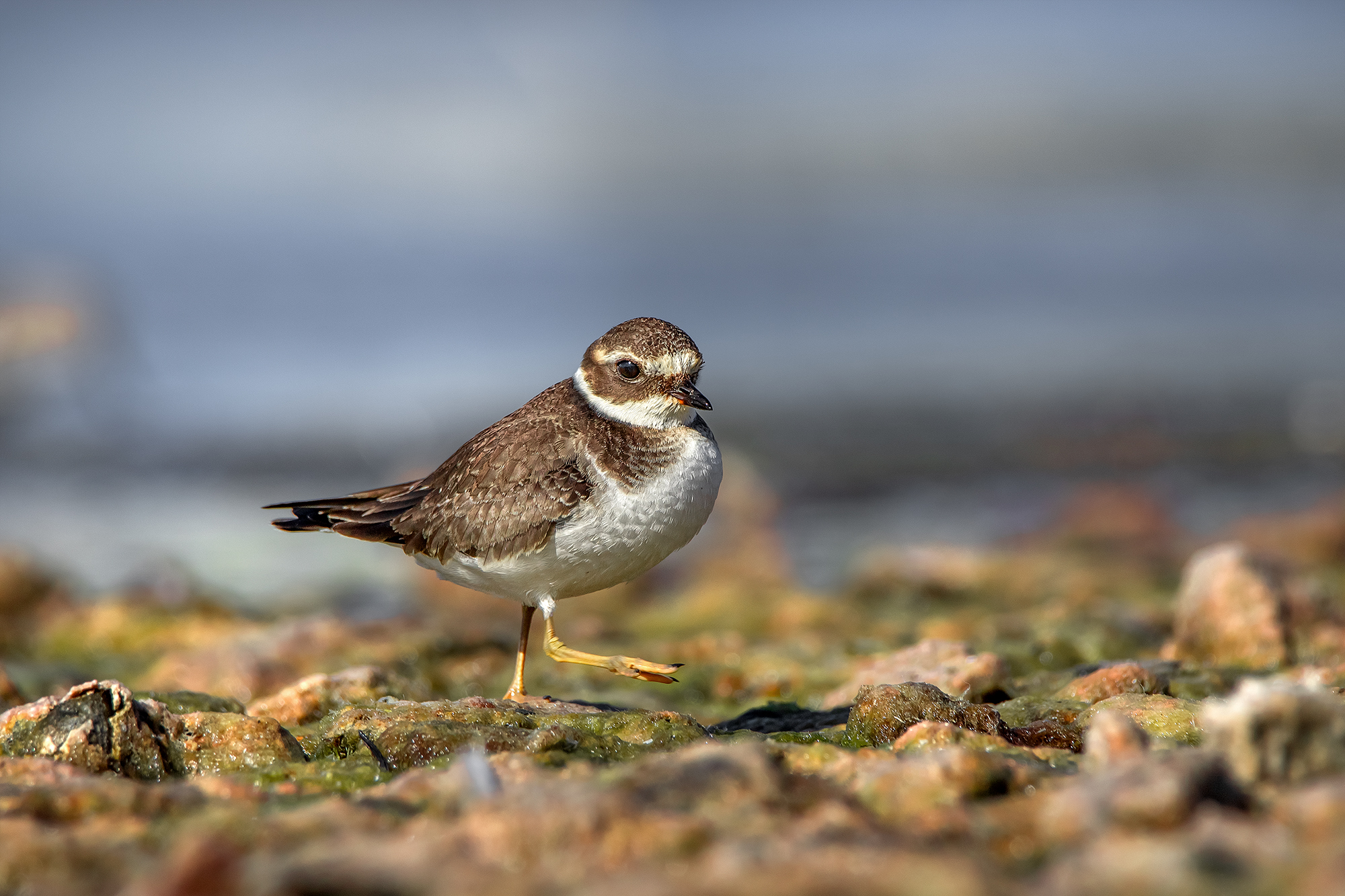 , Людмила Ожиганова