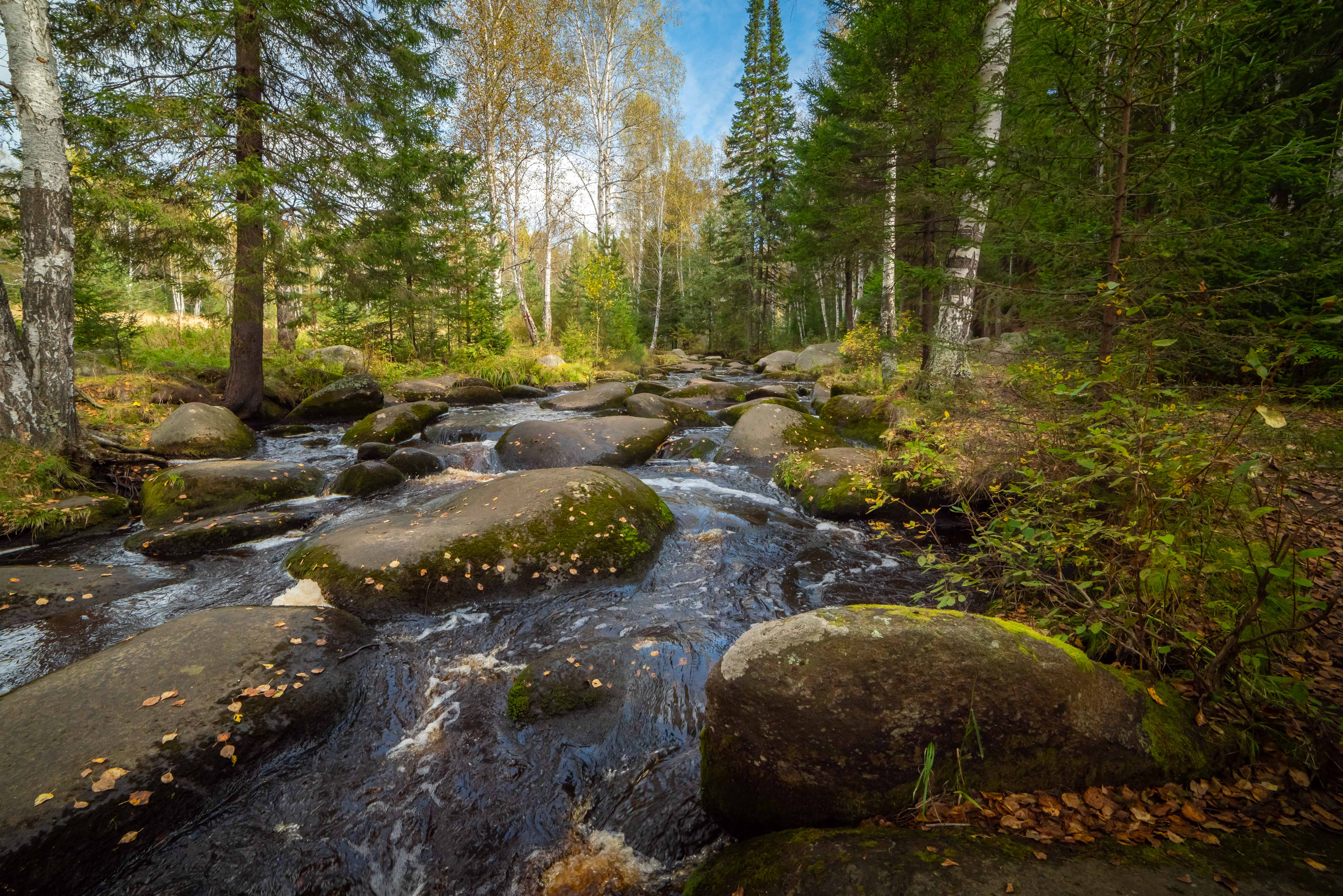 лес, урал, река, осень, камни, Жданов Дмитрий