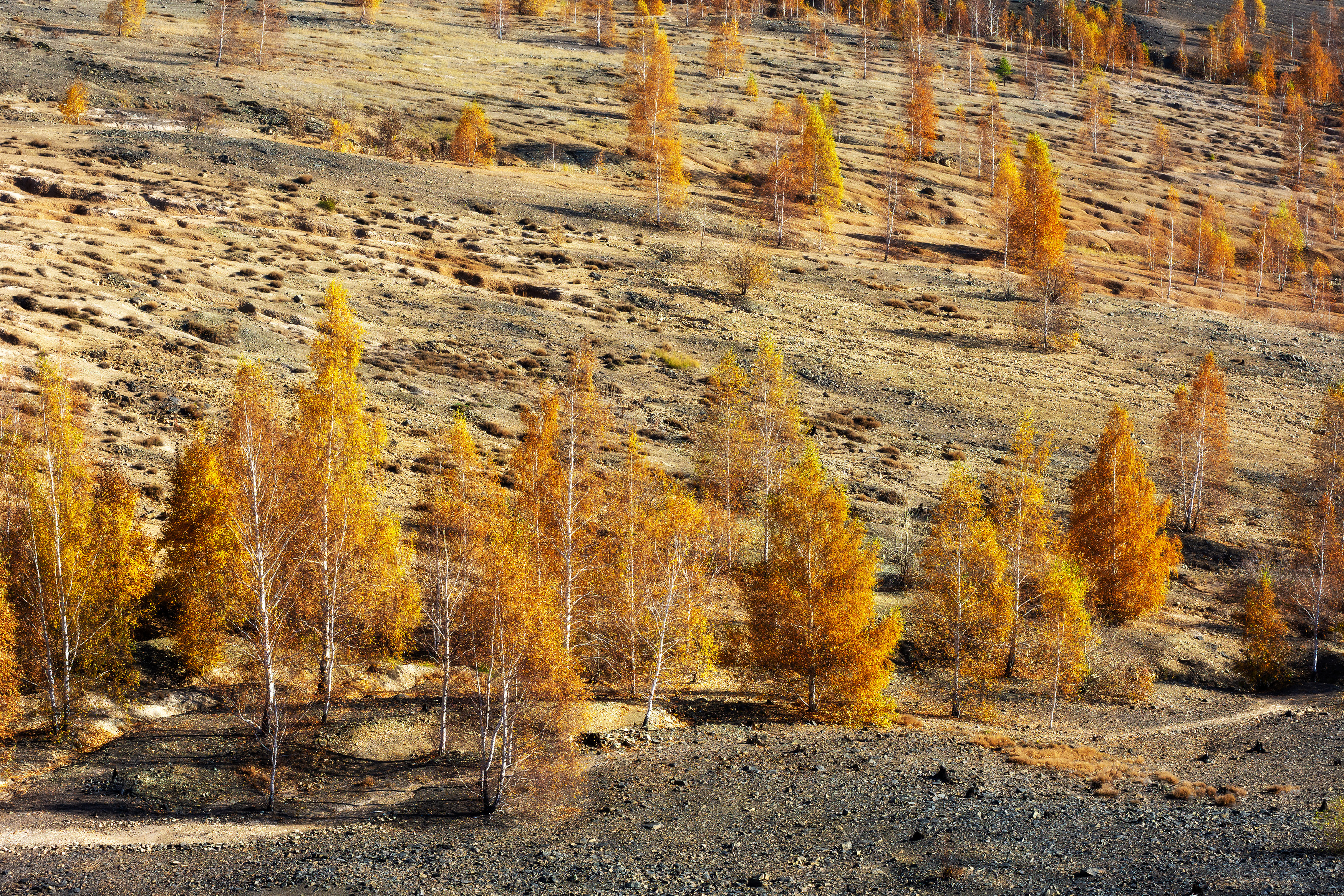, Андрей Шарапов
