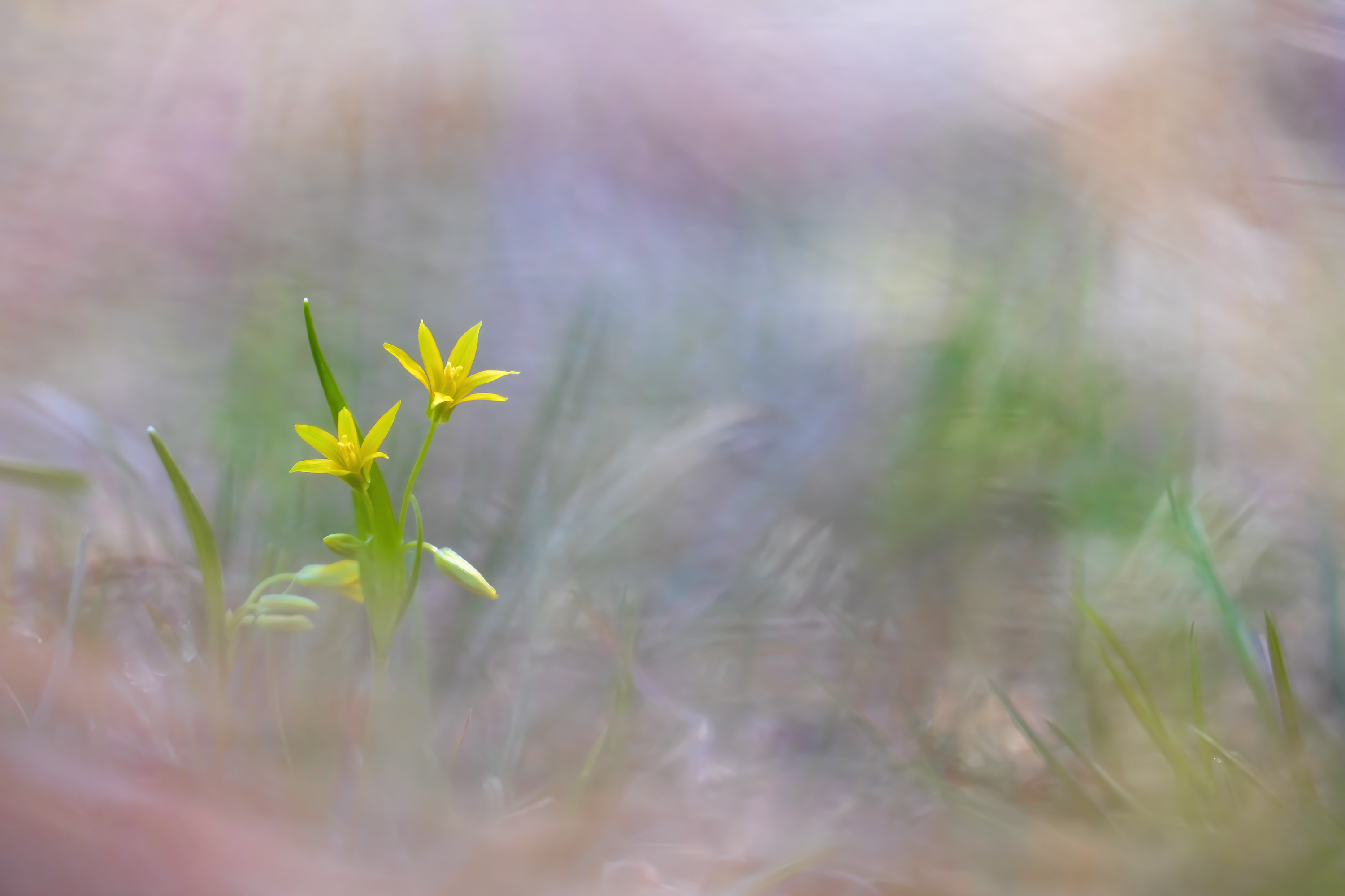 , Кузнецов Дмитрий