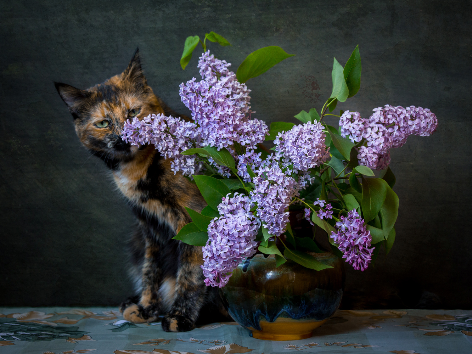 , Алексеев Сергей