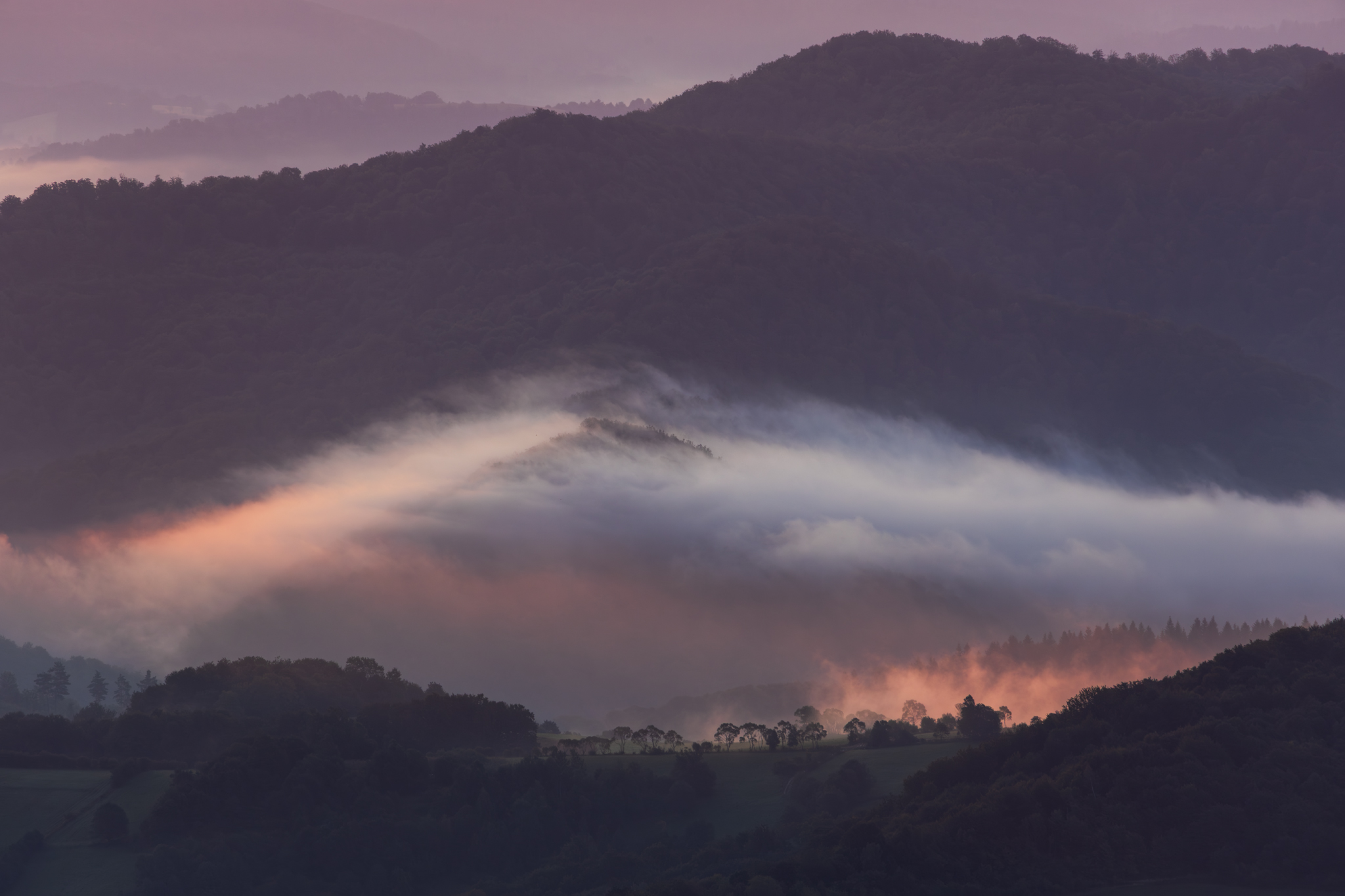 ,  Mirosław Pruchnicki