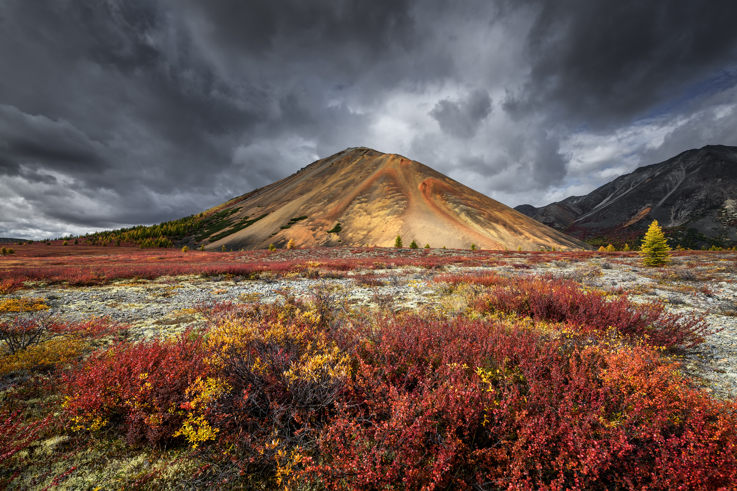 , Евдокимов Максим