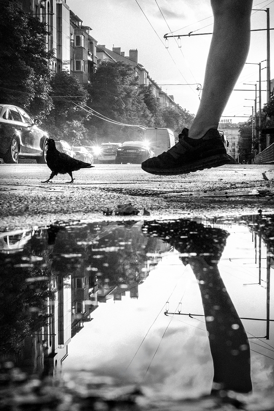 , Denis Buchel (Денис Бучель)