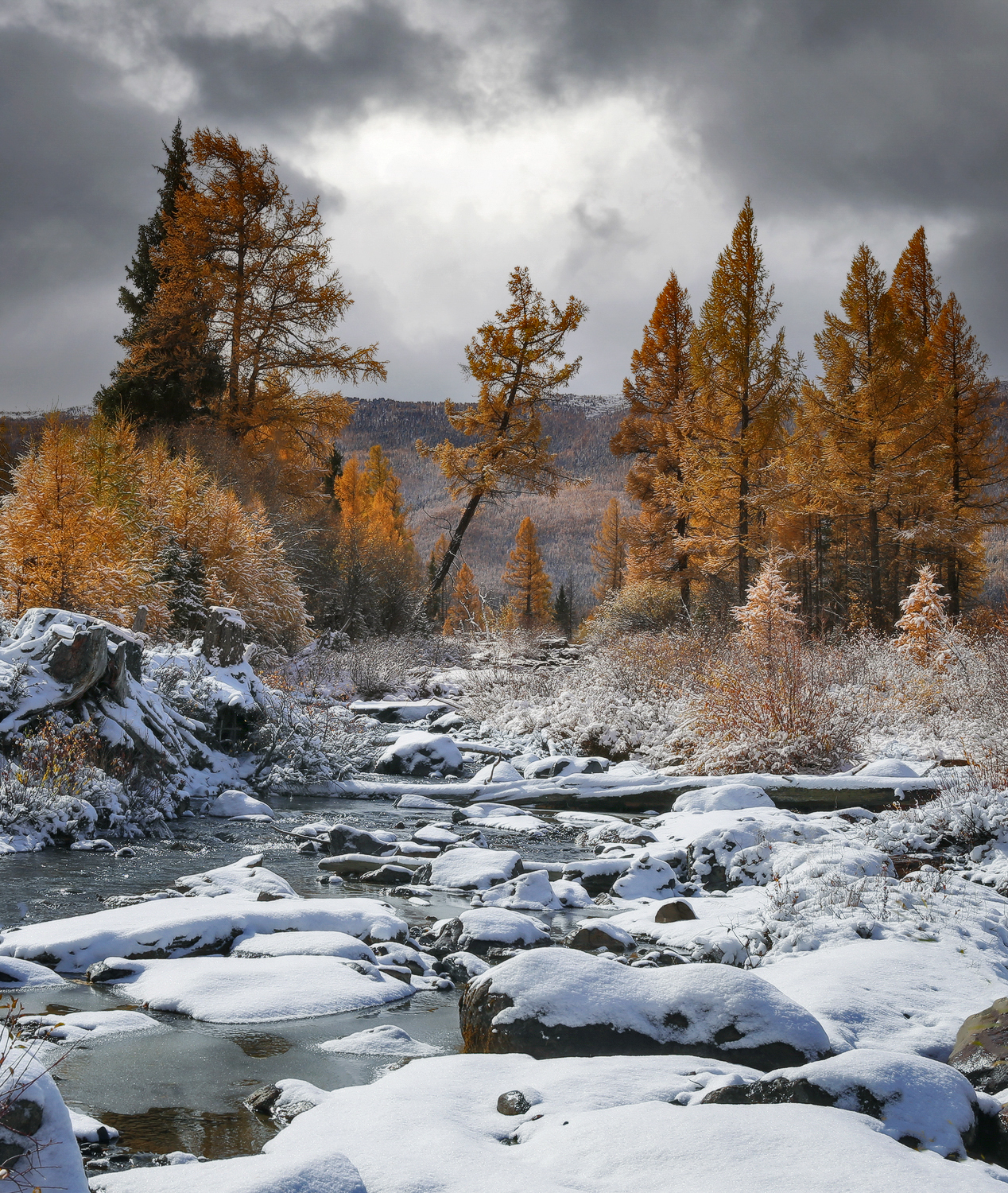 алтай, горный алтай, республика алтай, Галина Хвостенко