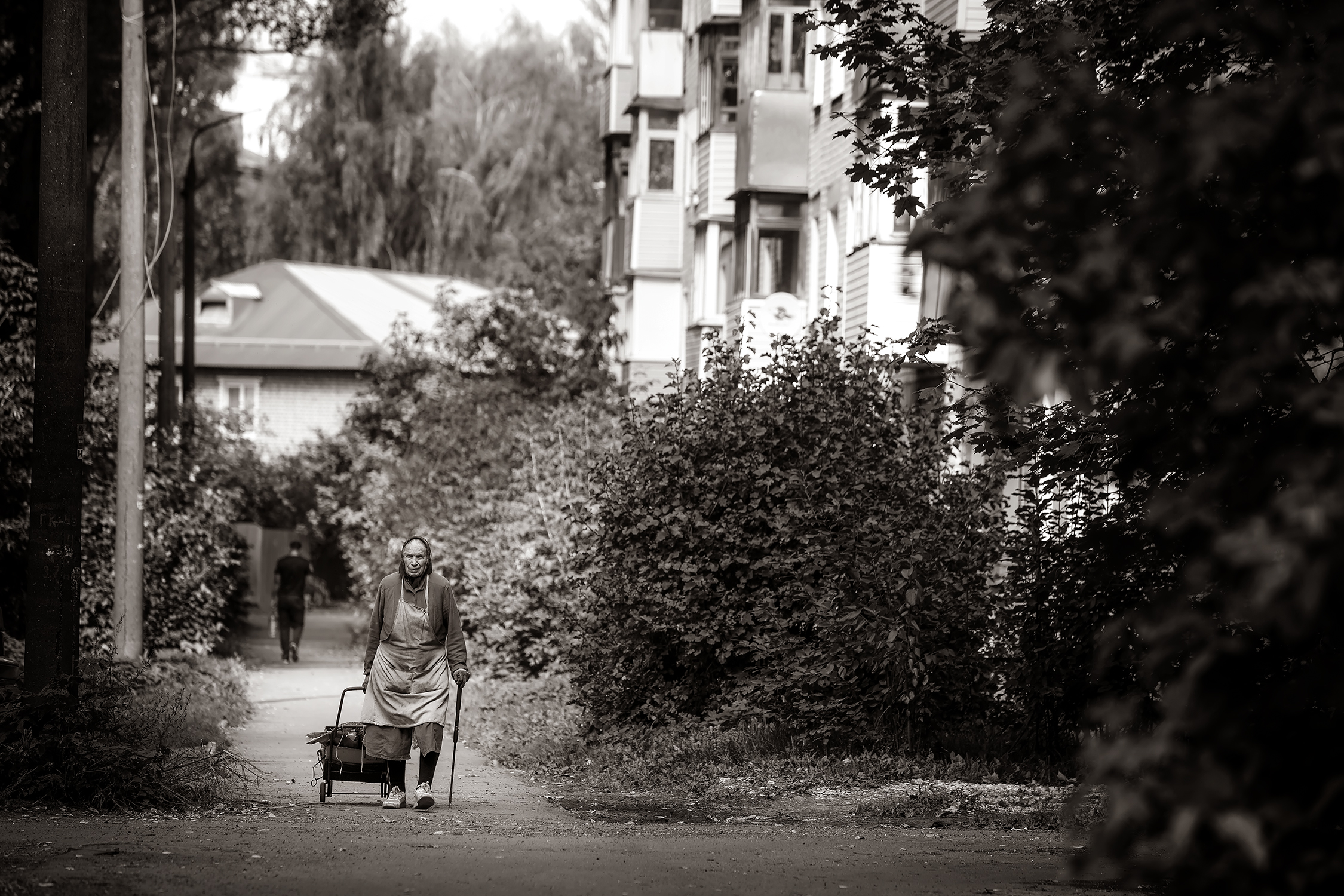 жанр, жанровый портрет, люди, улица, дорога, женщина, бабушка, сума, тележка, клюка, муром, осень, сентябрь, мусор, дворник, Алексей Трифонов