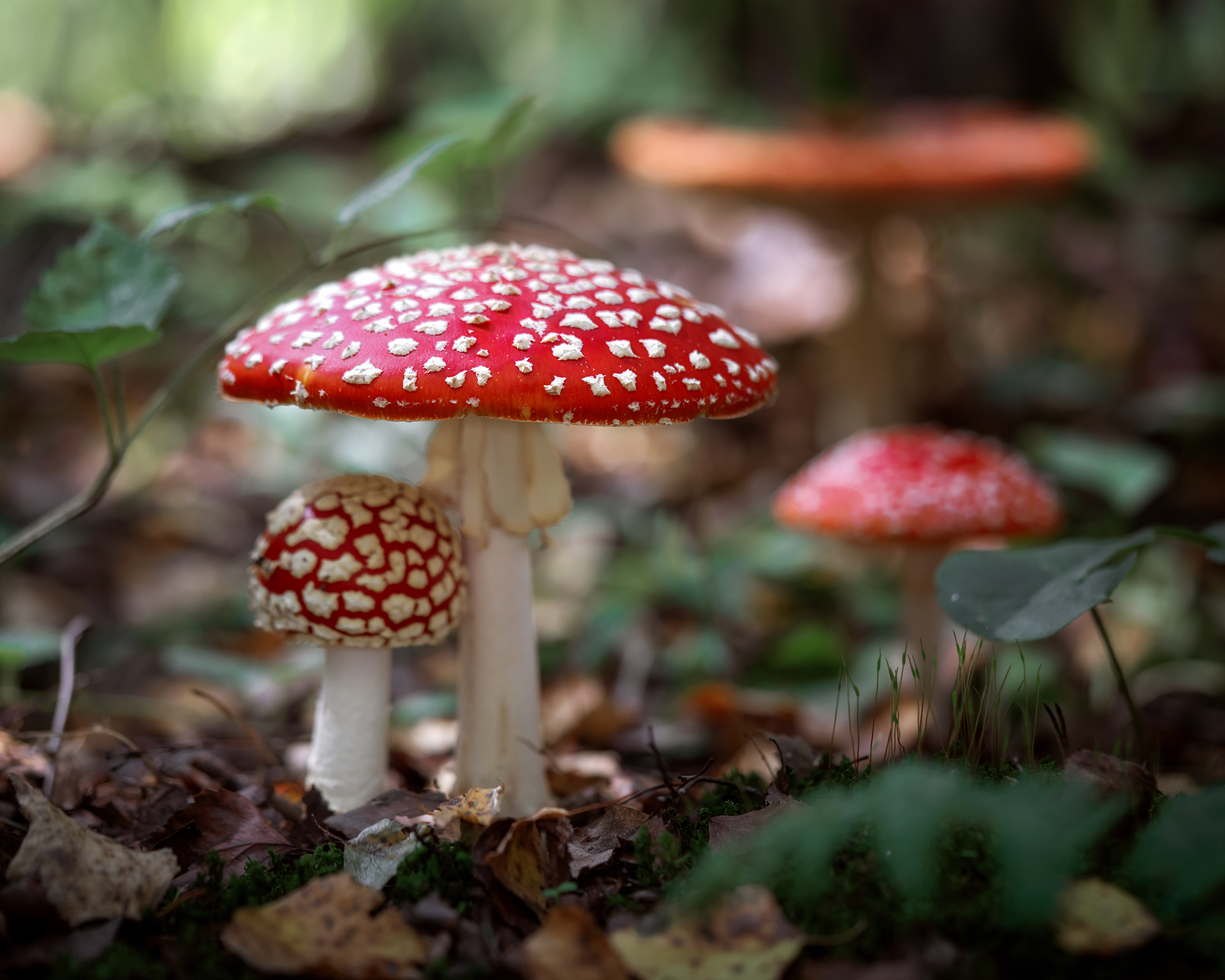 , Завьялова Людмила