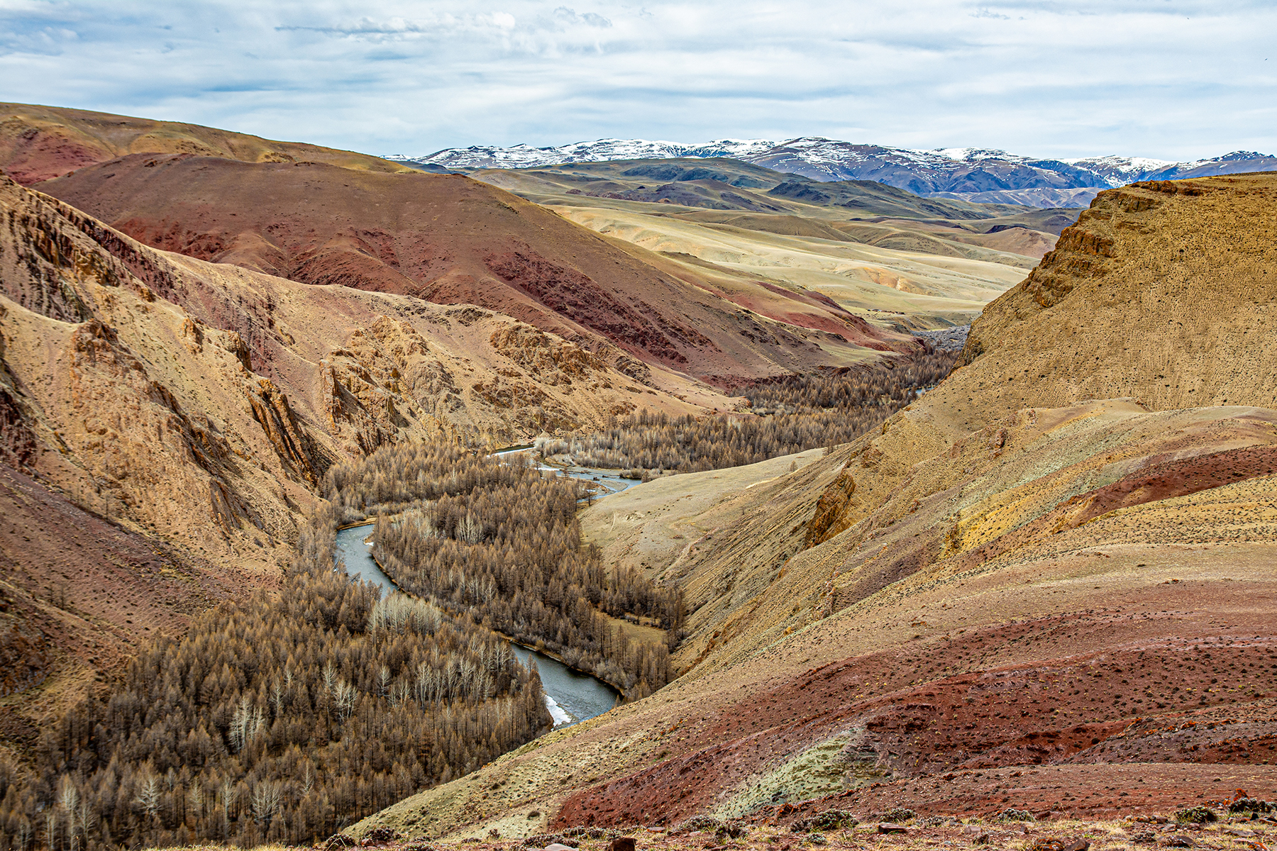марсианская палитра, Татаркин Вячеслав