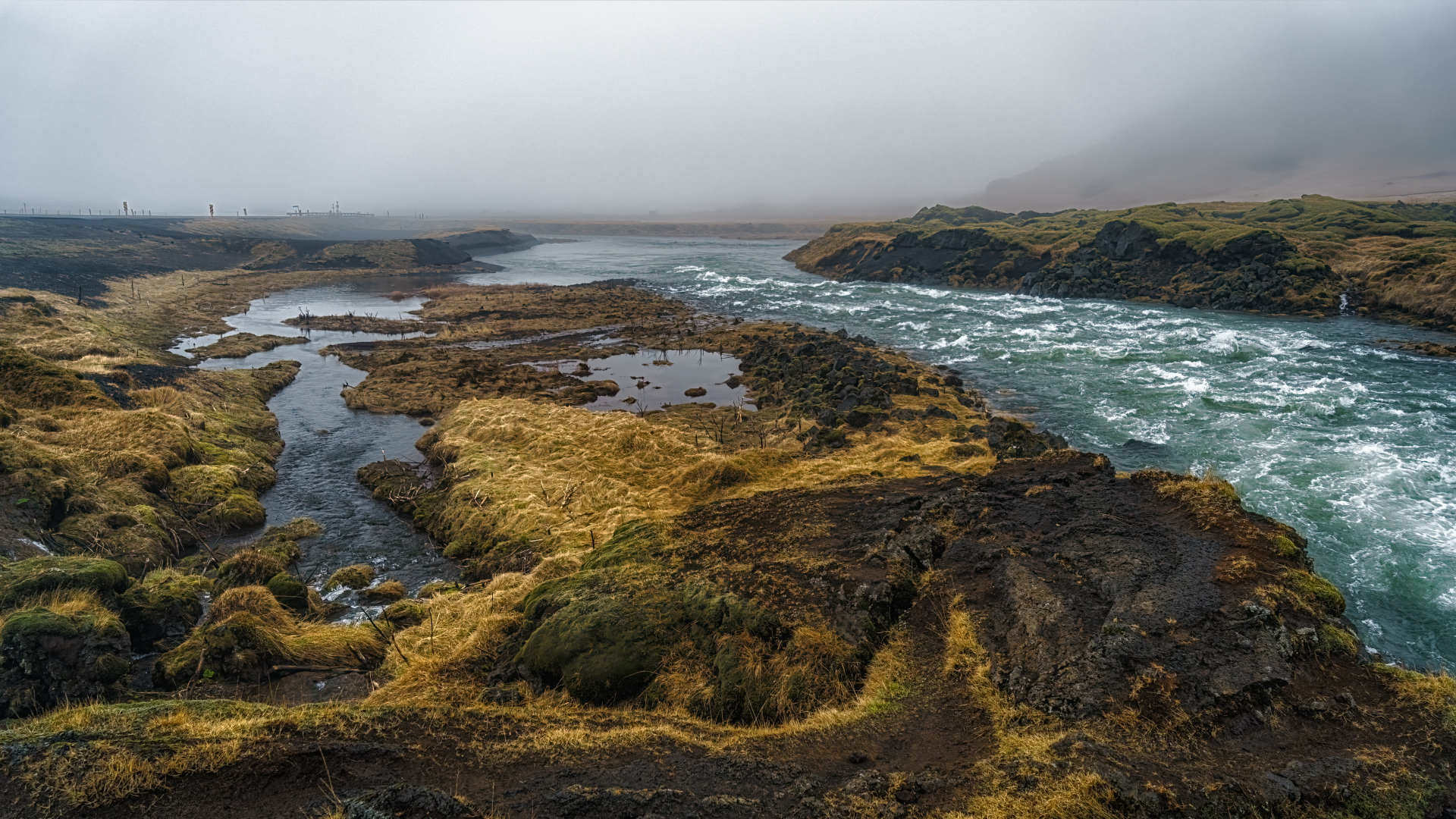 , Шварцман Евгений