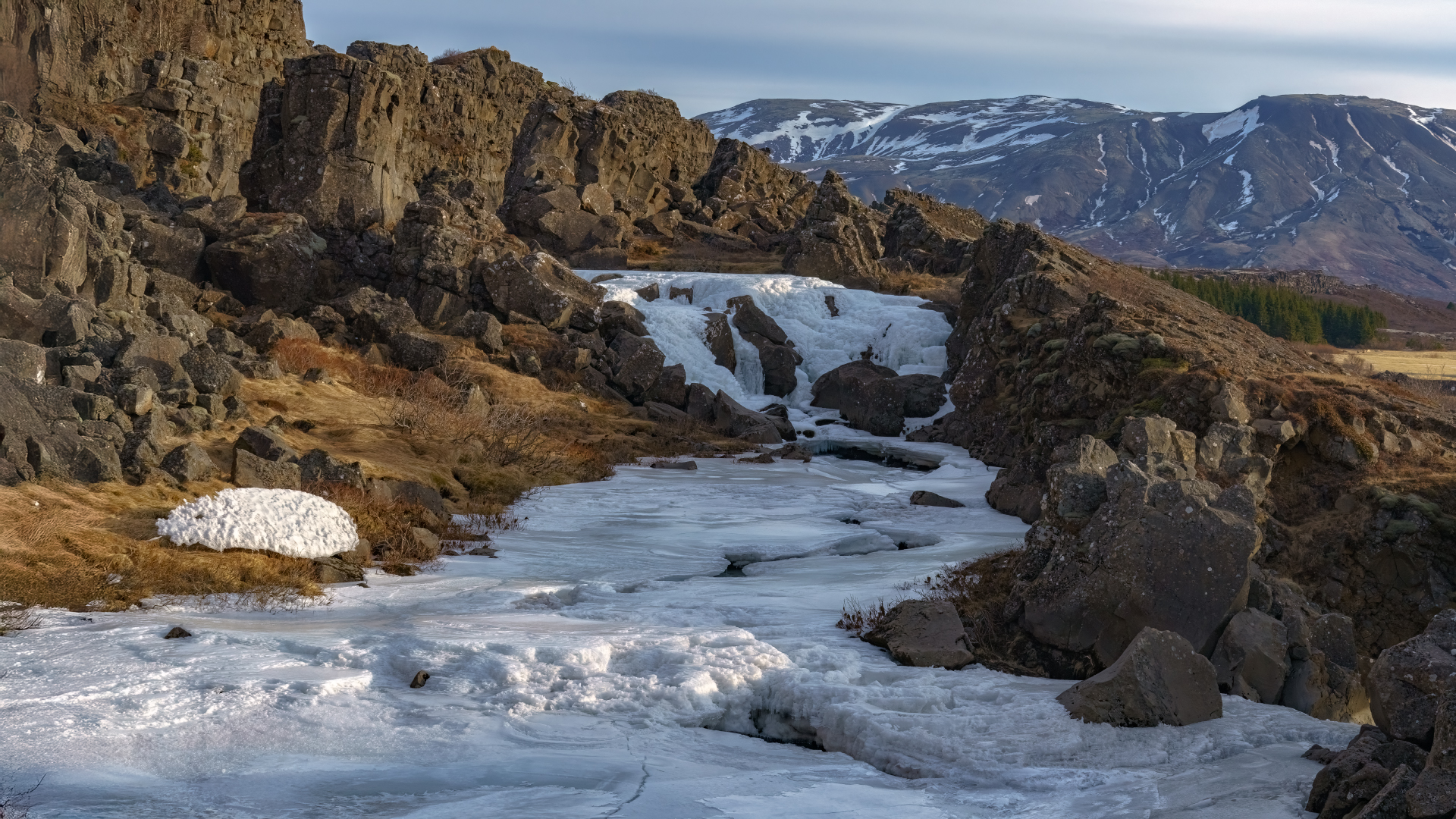 , Шварцман Евгений