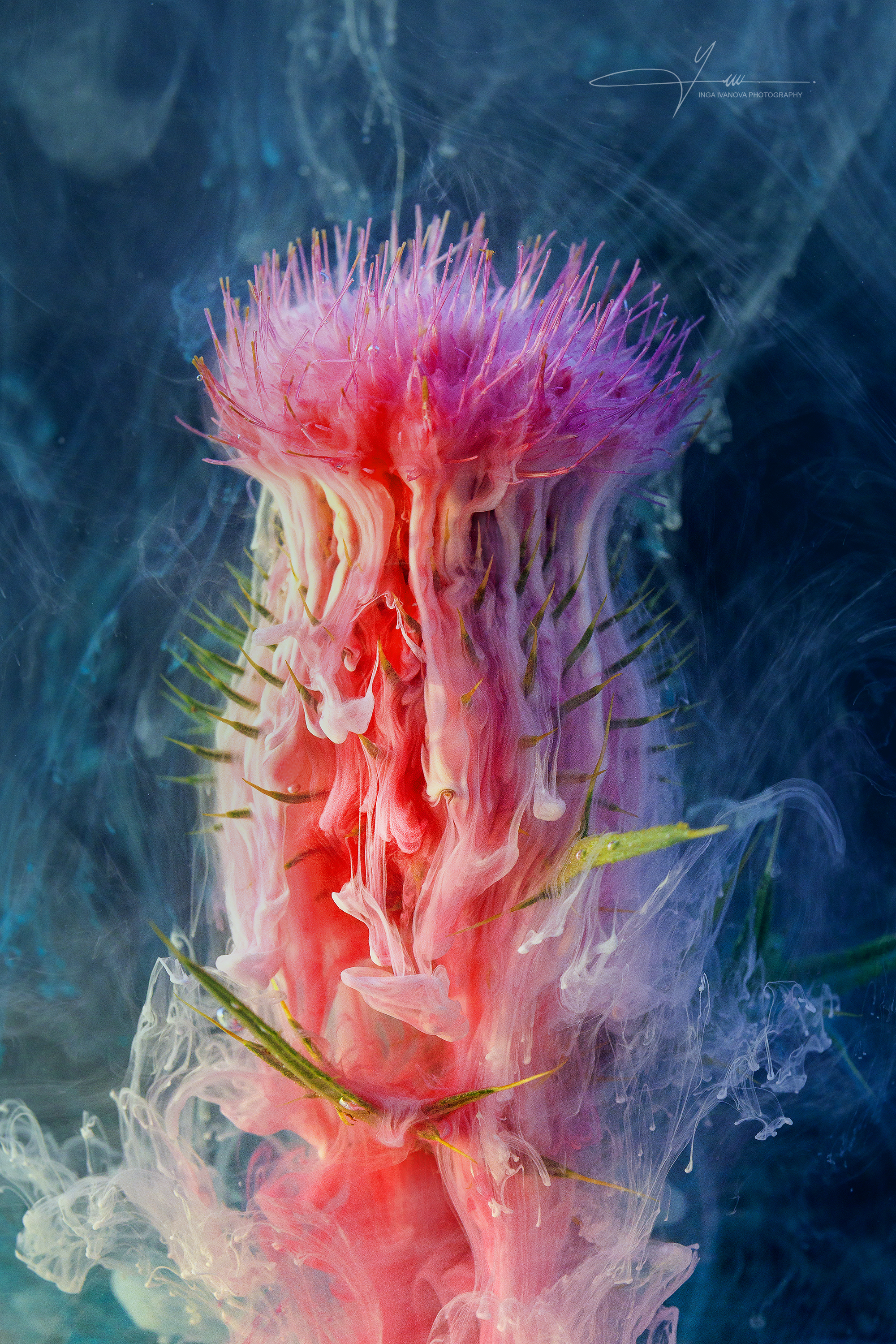 , EPCA/B, P IAAP, GPU CR1 Inga Ivanova