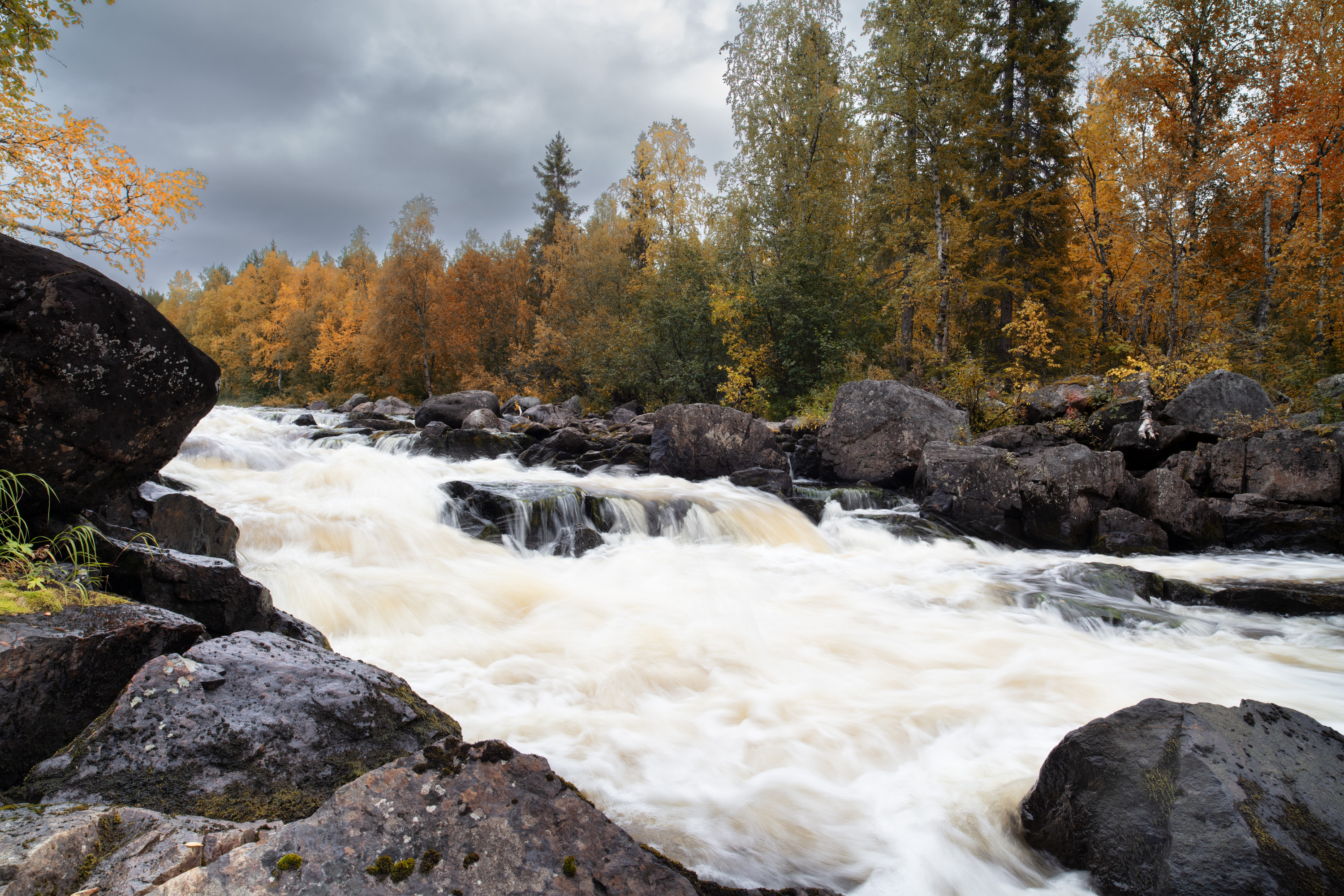 , Ворошилов Александр