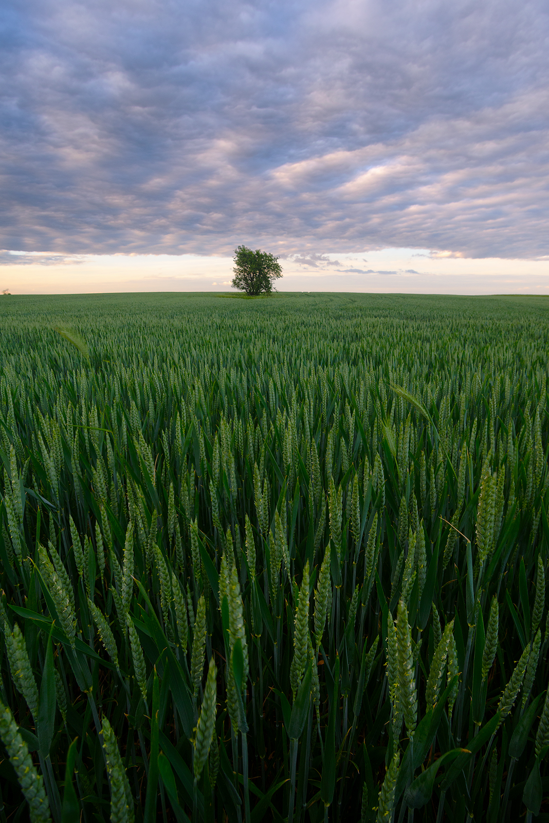 , Любослав Любомиров