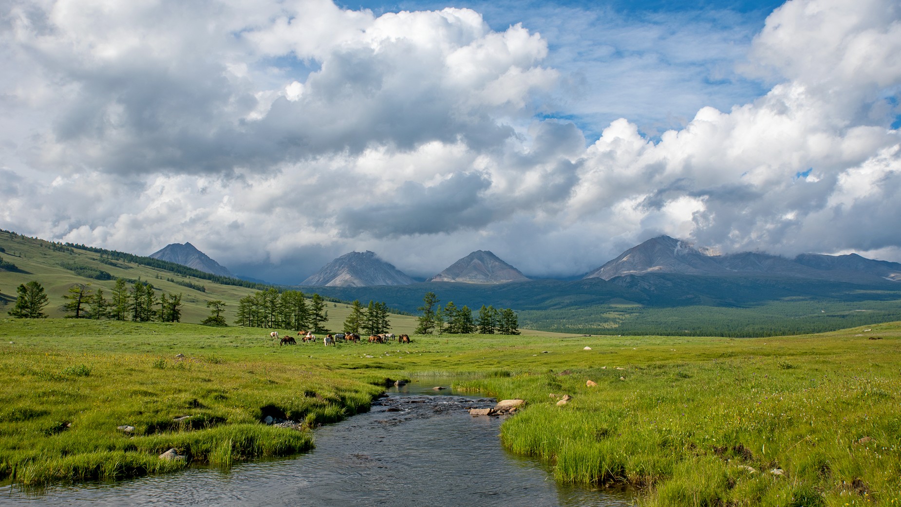 монголия, горы, лето, облака, озеро, горы, река, лошади, стадо, Юрий Мальцев