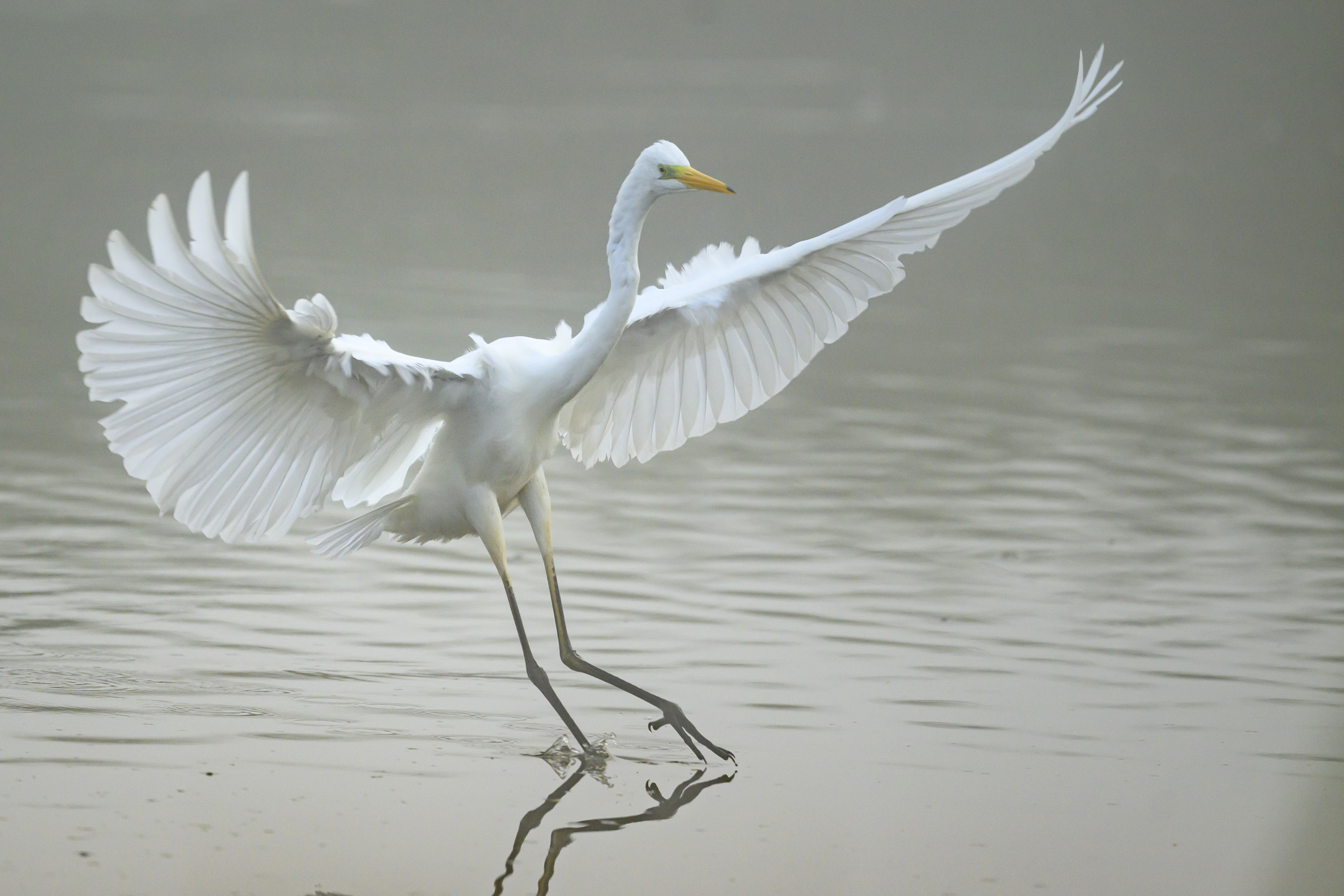 , Пупонин Сергей