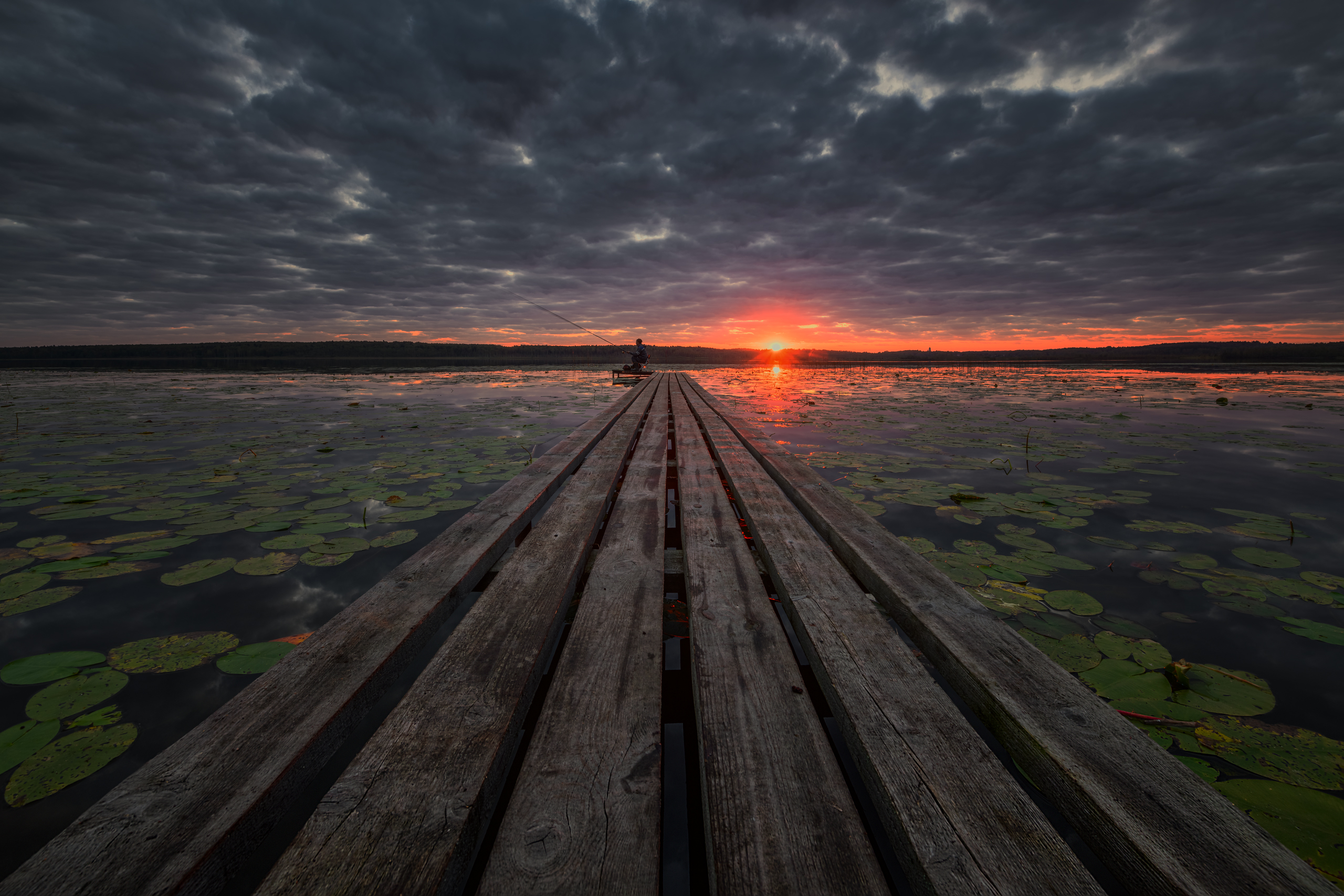 , Евдокимов Максим