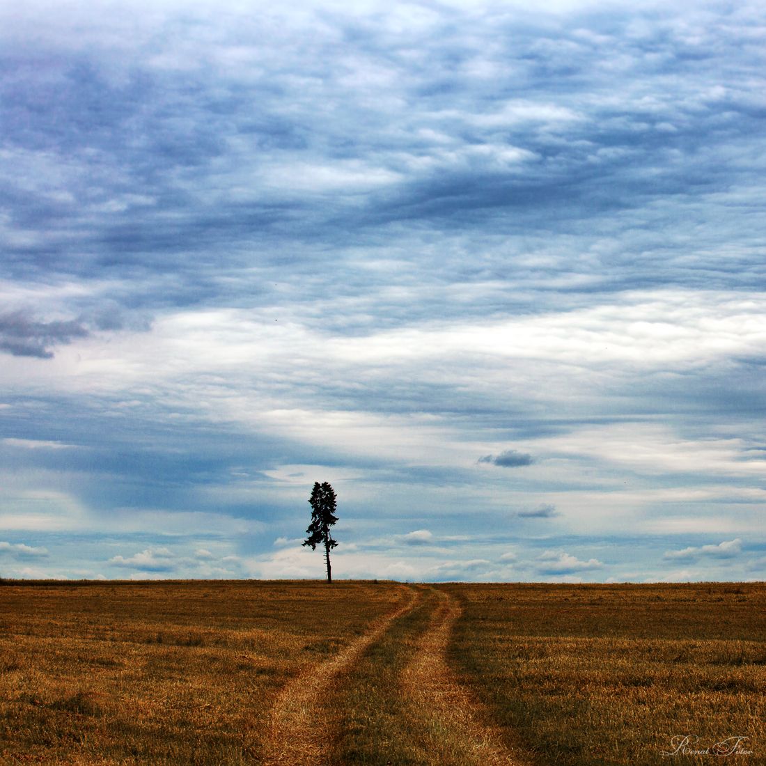 , Фотов Ренат