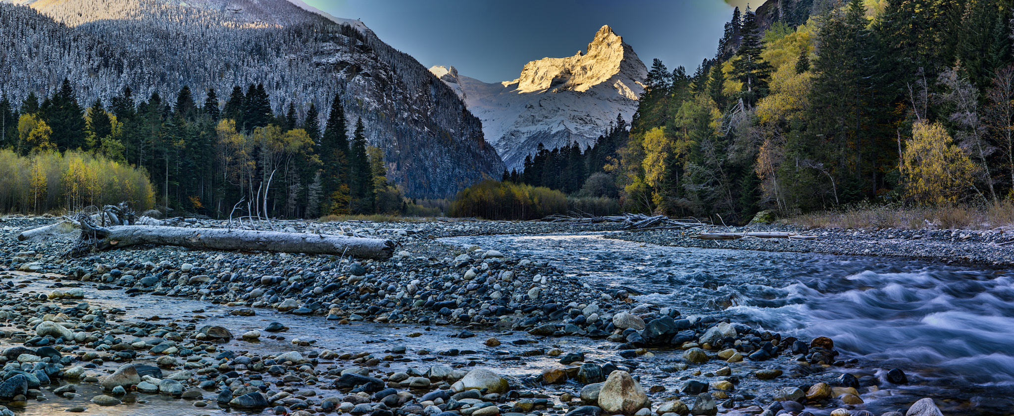 , Игорь Щербаков