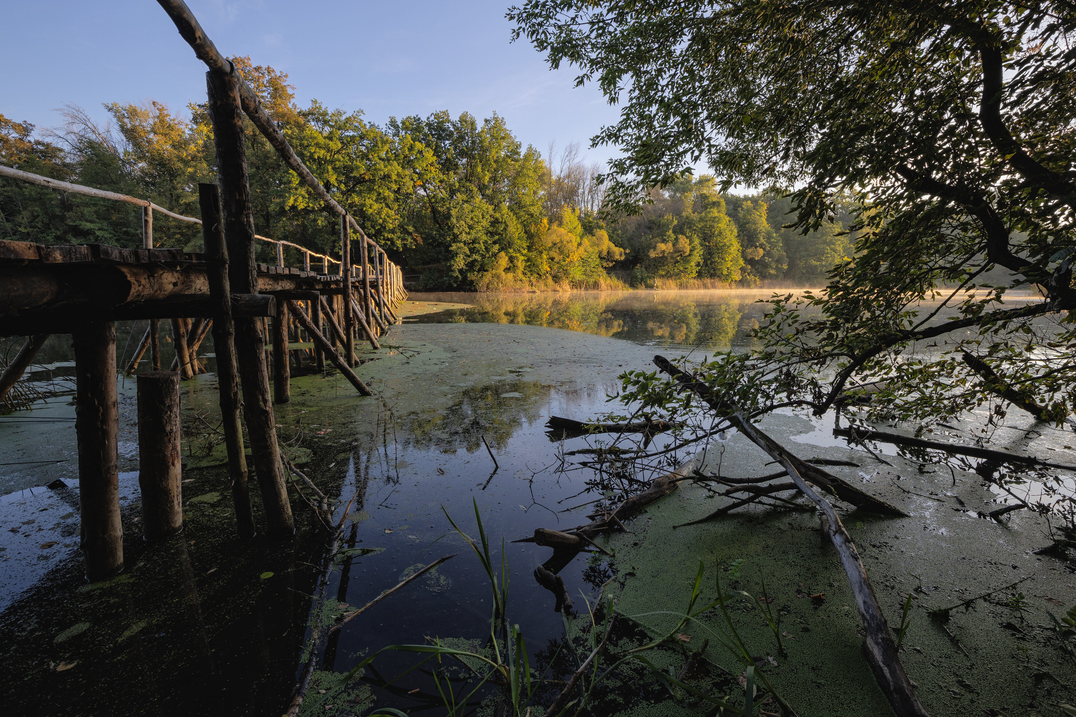, Александр Бредихин