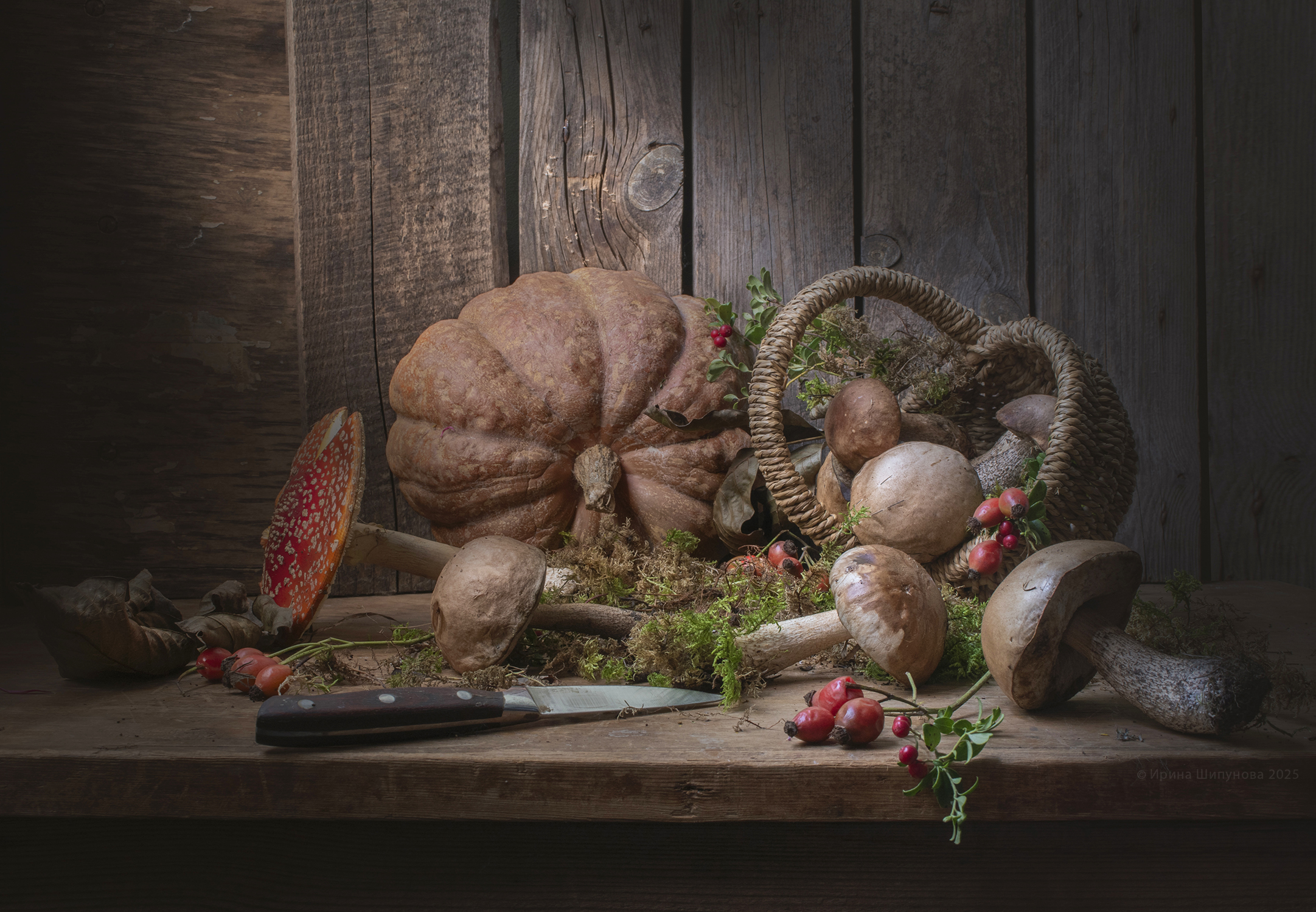 , Шипунова Ирина