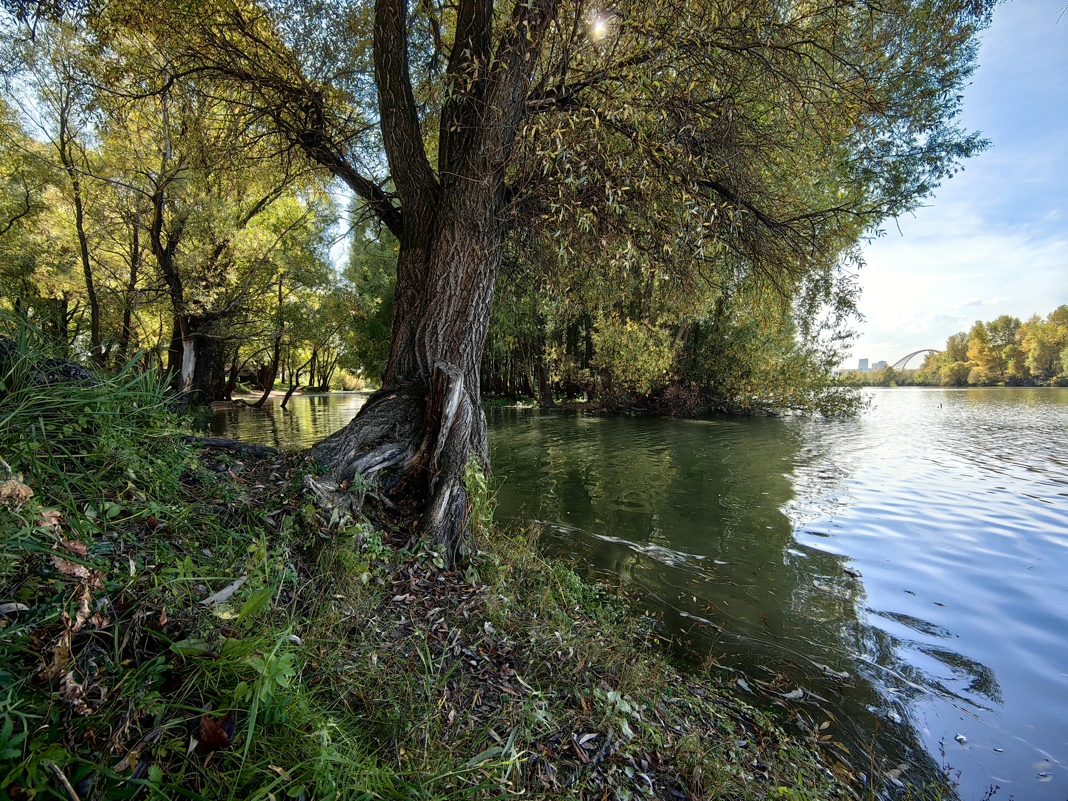 осень,река,деревья, Козлова Галина
