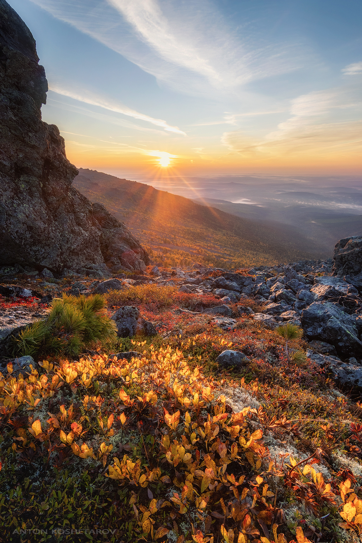 , Антон Кошетаров