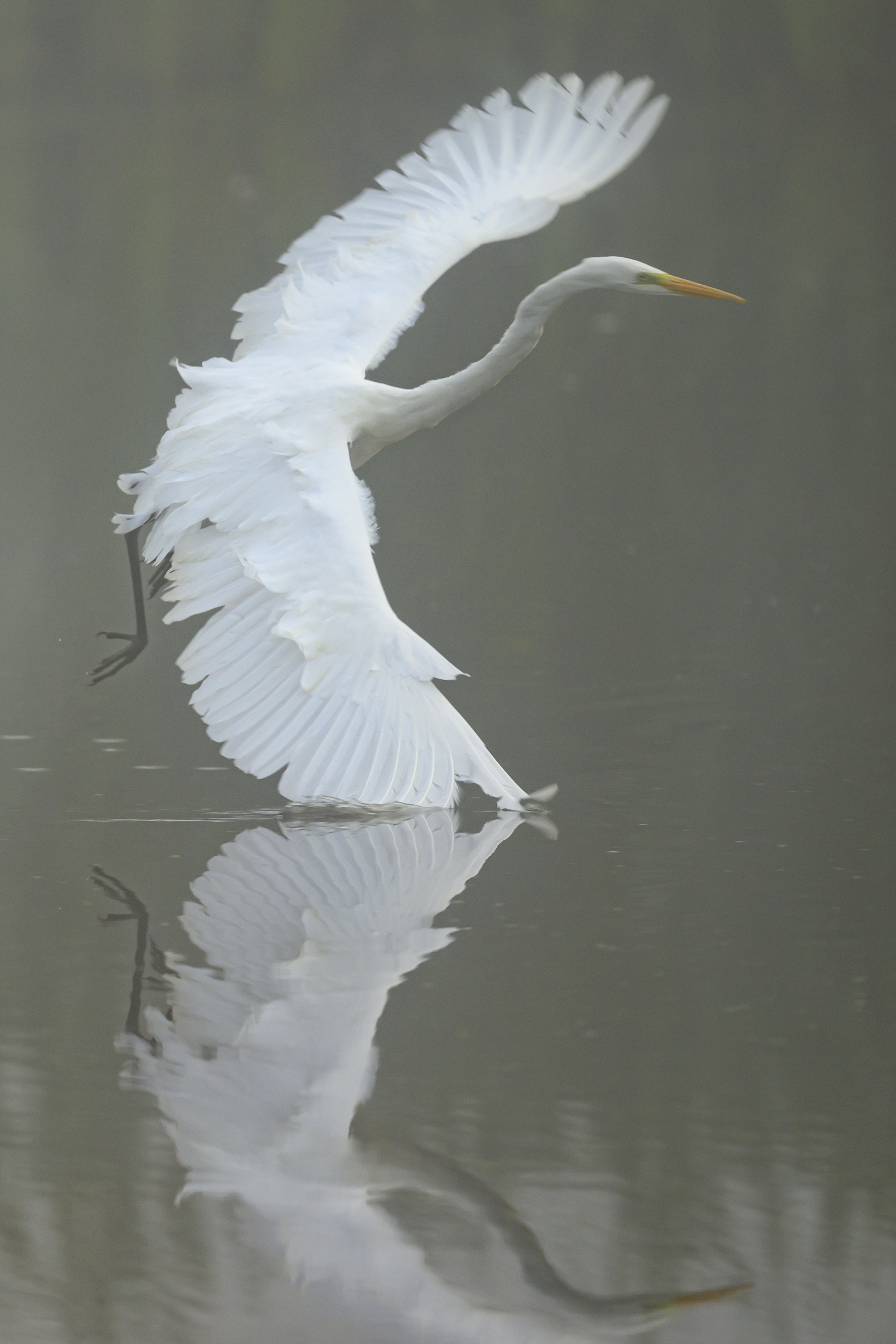 , Пупонин Сергей