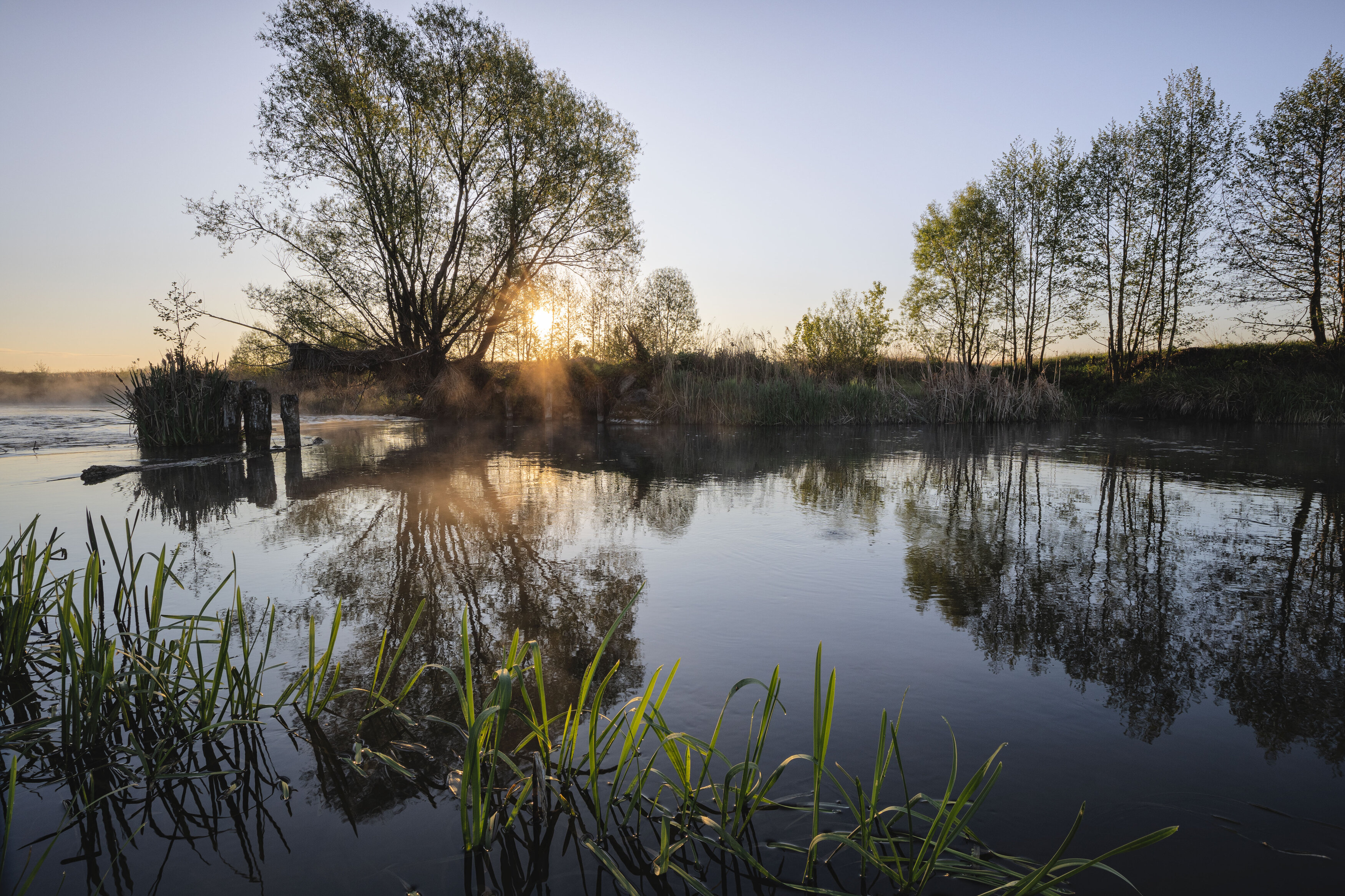 , Александр Бредихин