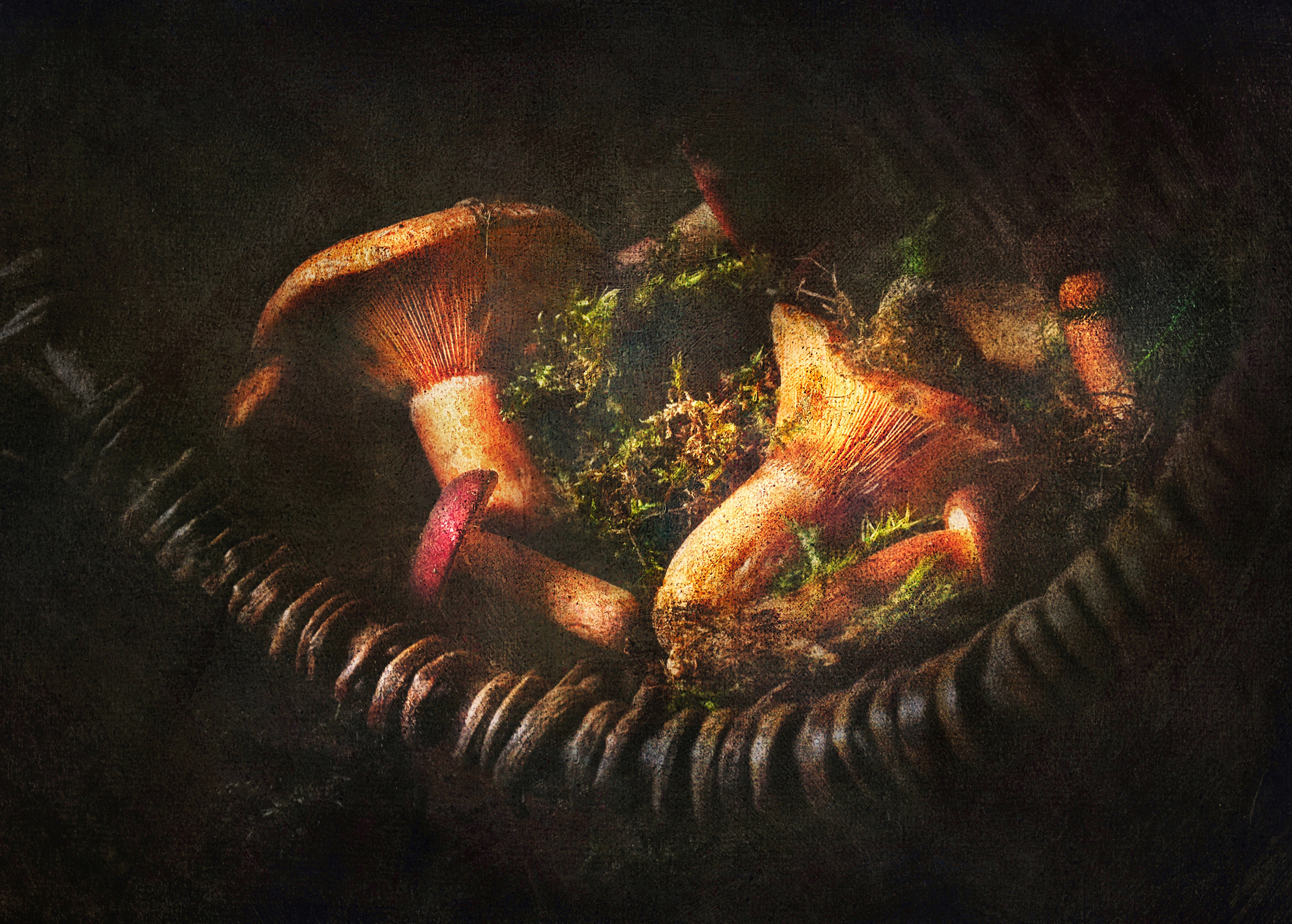 натюрморт, осень, грибы, лес, still life , Буглак Инна