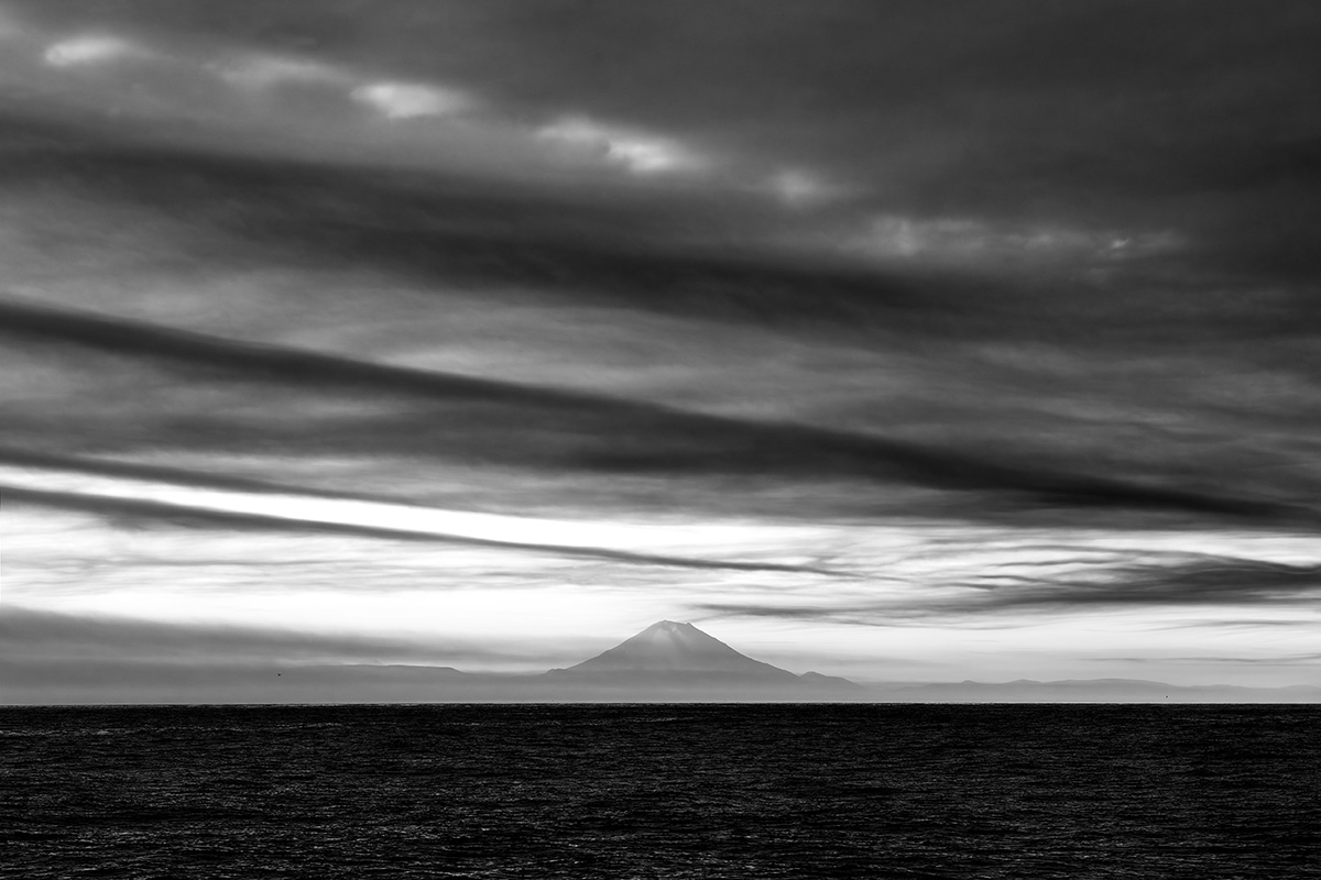 , Моисеева Надежда