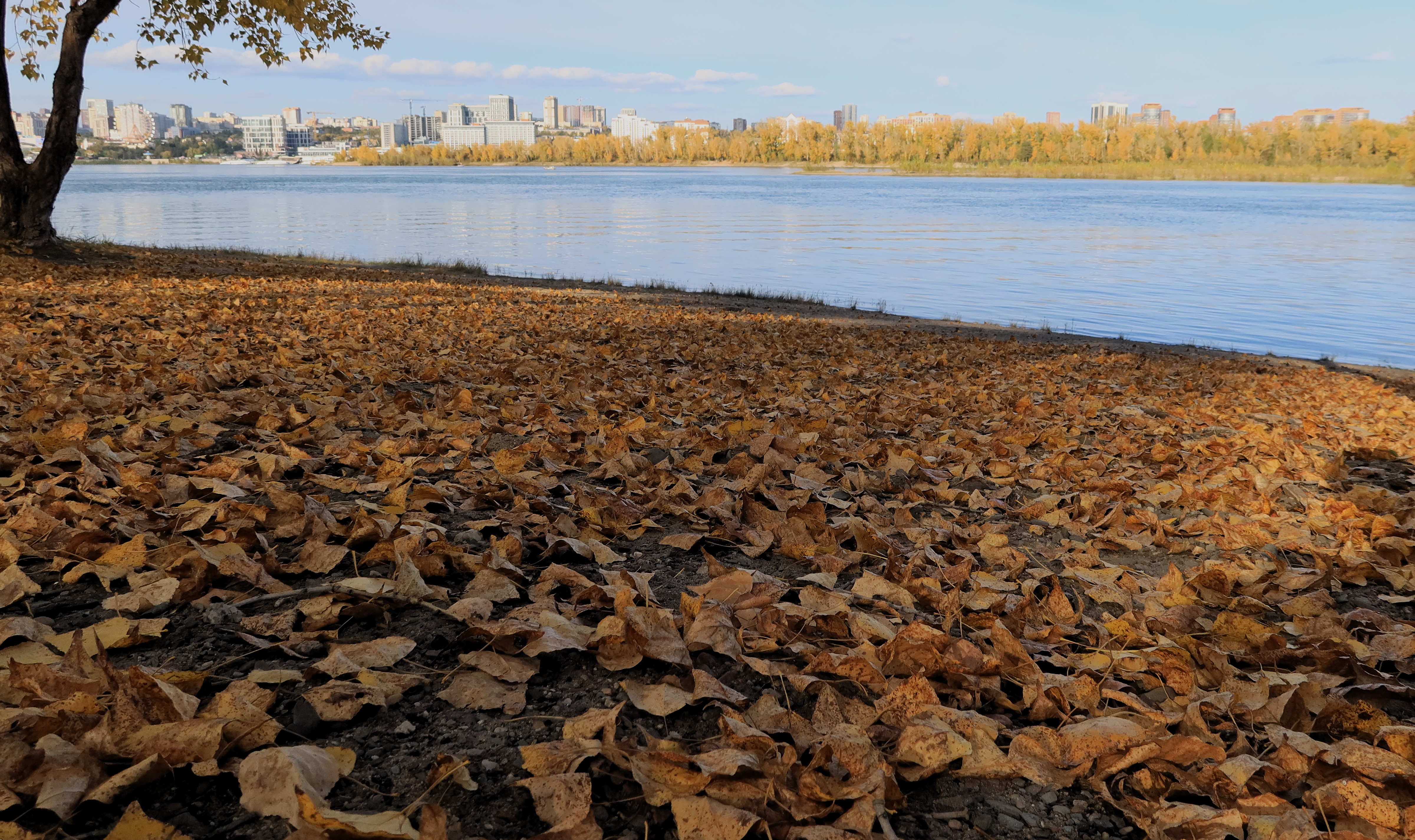 природа,река,осень,листья, Козлова Галина